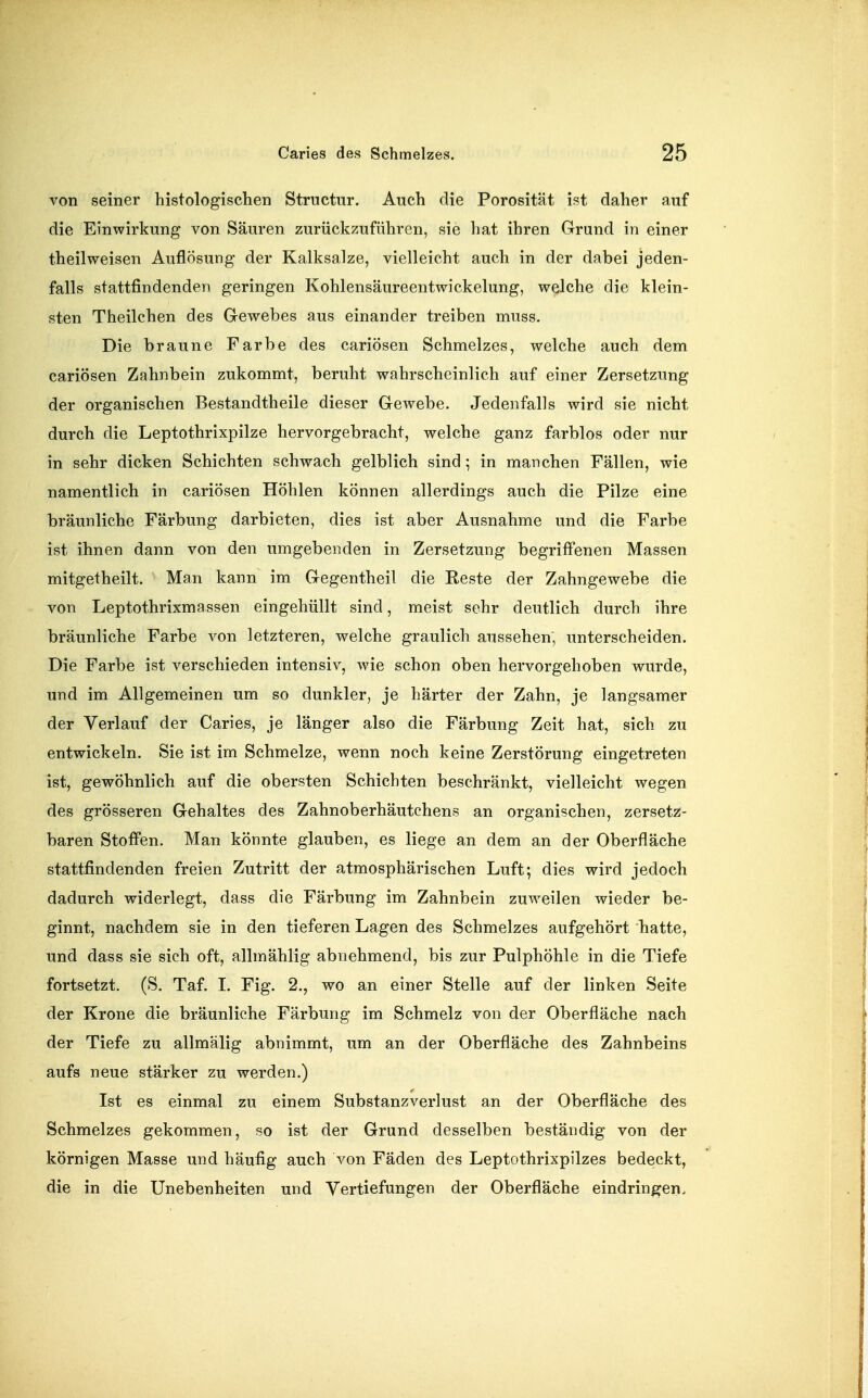 von seiner histologischen Structiir. Auch die Porosität ist daher auf die Einwirkung von Säuren zurückzuführen, sie hat ihren Grund in einer theilweisen Auflösung der Kalksalze, vielleicht auch in der dabei jeden- falls stattfindenden geringen Kohlensäureentwickelung, welche die klein- sten Theilchen des Gewebes aus einander treiben muss. Die braune Farbe des cariösen Schmelzes, welche auch dem cariösen Zahnbein zukommt, beruht wahrscheinlich auf einer Zersetzung der organischen Bestandtheile dieser Gewebe. Jedenfalls wird sie nicht durch die Leptothrixpilze hervorgebracht, welche ganz farblos oder nur in sehr dicken Schichten schwach gelblich sind; in manchen Fällen, wie namentlich in cariösen Höhlen können allerdings auch die Pilze eine bräunliche Färbung darbieten, dies ist aber Ausnahme und die Farbe ist ihnen dann von den umgebenden in Zersetzung begriffenen Massen mitgetheilt. Man kann im Gegentheil die Reste der Zahngewebe die von Leptothrixmassen eingehüllt sind, meist sehr deutlich durch ihre bräunliche Farbe von letzteren, welche graulich aussehen, unterscheiden. Die Farbe ist verschieden intensiv, wie schon oben hervorgehoben wurde, und im Allgemeinen um so dunkler, je härter der Zahn, je langsamer der Verlauf der Caries, je länger also die Färbung Zeit hat, sich zu entwickeln. Sie ist im Schmelze, wenn noch keine Zerstörung eingetreten ist, gewöhnlich auf die obersten Schichten beschränkt, vielleicht wegen des grösseren Gehaltes des Zahnoberhäutchens an organischen, zersetz- baren Stoffen. Man könnte glauben, es liege an dem an der Oberfläche stattfindenden freien Zutritt der atmosphärischen Luft; dies wird jedoch dadurch widerlegt, dass die Färbung im Zahnbein zuweilen wieder be- ginnt, nachdem sie in den tieferen Lagen des Schmelzes aufgehört hatte, und dass sie sich oft, allmählig abnehmend, bis zur Pulphöhle in die Tiefe fortsetzt. (S. Taf, 1. Fig. 2., wo an einer Stelle auf der linken Seite der Krone die bräunliche Färbung im Schmelz von der Oberfläche nach der Tiefe zu allmälig abnimmt, um an der Oberfläche des Zahnbeins aufs neue stärker zu werden.) Ist es einmal zu einem Substanzverlust an der Oberfläche des Schmelzes gekommen, so ist der Grund desselben beständig von der körnigen Masse und häufig auch von Fäden des Leptothrixpilzes bedeckt, die in die Unebenheiten und Vertiefungen der Oberfläche eindringen.