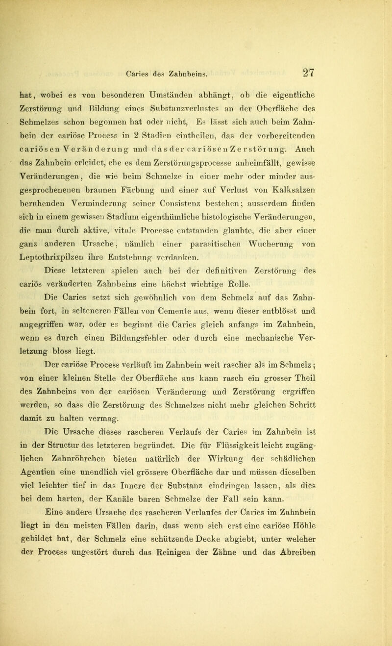 hat, wobei es von besonderen Umständen abhängt, ob die eigentliche Zerstörung und Bildung eines Substanzverhistes an der Oberfläche des Schmelzes schon begonnen hat oder nicht, Es lässt sich auch beim Zahn- bein der cariöse Process in 2 Stadien eintheilen, das der vorbereitenden cariösen Veränderung und d a s d e r c a r i ö s e n Z e r s t ö r u n g. Auch das Zahnbein erleidet, ehe es dem Zerstörungsprocesse anheimfällt, gewisse Veränderungen, die wie beim Schmelze in einer mehr oder minder aus- gesprochenenen braunen Färbung und einer auf Verlust von Kalksalzen beruhenden Verminderung seiner Consistenz bestehen; ausserdem finden sich in einem gewissen Stadium eigenthümliche histologische Veränderungen, die man durch aktive, vitale Processe entstanden glaubte, die aber einer ganz anderen Ursache, nämlich einer parasitischen Wucherung von Leptothrixpilzen ihre Entstehung verdanken. Diese letzteren spielen auch bei der definitiven Zerstörung des cariös veränderten Zahnbeins eine höchst wichtige Rolle. Die Caries setzt sich gewöhnlich von dem Schmelz auf das Zahn- bein fort, in selteneren Fällen von Cemente aus, wenn dieser entblösst und angegriffen war, oder es beginnt die Caries gleich anfangs im Zahnbein, wenn es durch einen Bildungsfehler oder durch eine mechanische Ver- letzung bloss liegt. Der cariöse Process verläuft im Zahnbein weit rascher als im Schmelz; von einer kleinen Stelle der Oberfläche aus kann rasch ein grosser Theil des Zahnbeins von der cariösen Veränderung und Zerstörung ergriffen werden, so dass die Zerstörung des Schmelzes nicht mehr gleichen Schritt damit zu halten vermag. Die Ursache dieses rascheren Verlaufs der Caries im Zahnbein ist in der Structur des letzteren begründet. Die für Flüssigkeit leicht zugäng- lichen Zahn.röhrchen bieten natürlich der Wirkung der schädlichen Agentien eine unendlich viel grössere Oberfläche dar und müssen dieselben viel leichter tief in das Innere der Substanz eindringen lassen, als dies bei dem harten, der Kanäle baren Schmelze der Fall sein kann. Eine andere Ursache des rascheren Verlaufes der Caries im Zahnbein liegt in den meisten Fällen darin, dass wenn sich erst eine cariöse Höhle gebildet hat, der Schmelz eine schützende Decke abgiebt, unter welcher der Process ungestört durch das Reinigen der Zähne und das Abreiben