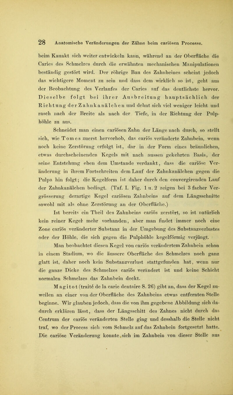 beim Kauakt sich weiter entwickeln kann, während an der Oberfläche die Caries des Schmelzes durch die erwähnten mechanischen Manipulationen beständig gestört wird. Der röhrige Bau des Zahnbeines scheint jedoch das wichtigere Moment zu sein und dass dem wirklich so ist, geht aus der Beobachtung des Verlaufes der Caries auf das deutlichste hervor. Dieselbe folgt bei ihrer Ausbreitung hauptsächlich der Richtung derZahnkanälclien und dehnt sich viel weniger leicht und rasch nach der Breite als nach der Tiefe, in der Richtung der Pulp- höhle zu aus. Schneidet man einen cariösen Zahn der Länge nach durch, so stellt sich, wie Tom es zuerst hervorhob, das cariös veränderte Zahnbein, wenn noch keine Zerstörung erfolgt ist, dar in der Form eines bräunlichen, etwas durchscheinenden Kegels mit nach aussen gekehrten Basis, der seine Entstehung eben dem Umstände verdankt, dass die cariöse Ver- änderung in ihrem Fortschreiten dem Lauf der Zahnkanälchen gegen die Pulpa hin folgt; die Kegelform ist daher durch den convergirenden Lauf der Zahnkanälchen bedingt. (Taf. 1. Fig. 1 u. 2 zeigen bei 3 facher Ver- grösserung derartige Kegel cariösen Zahnbeins auf dem Längsschnitte sowohl mit als ohne Zerstörung an der Oberfläche.) Ist bereits ein Theil des Zahnbeins cariös zerstört, so ist natürlich kein reiner Keget mehr vorhanden, aber man findet immer noch eine Zone cariös veränderter Substanz in der Umgebung des Substanzverlustes oder der Höhle, die sich gegen die Pulphöhle kegelförmig verjüngt. Man beobachtet diesen Kegel von cariös verändertem Zahnbein schon in einem Stadium, wo die äussere Oberfläche des Schmelzes noch ganz glatt ist, daher noch kein Substanzverlust stattgefunden hat, wenn nur die ganze Dicke des Schmelzes cariös verändert ist und keine Schicht normalen Schmelzes das Zahnbein deckt. M agito t (traite de la carie dentaire S. 26) gibt an, dass der Kegel zu- weilen an einer von der Oberfläche des Zahnbeins etwas entfernten Stelle beginne. Wir glauben jedoch, dass die von ihm gegebene Abbildung sich da- durch erklären lässt, dass der Längsschitt des Zahnes nicht durch das Centrum der cariös veränderten Stelle ging und desshalb die Stelle nicht traf, wo der Process sich vom Schmelz auf das Zahnbein fortgesetzt hatte. Die cariöse Veränderung konnte.sich im Zahnbein von dieser Stelle aus