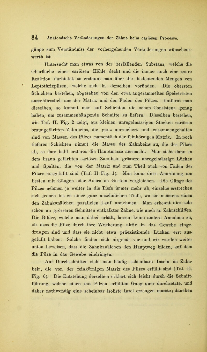 gänge zum Verständniss der vorhergehenden Veränderungen wünschens- werth ist. Untersucht man etwas von der zerfallenden Substanz, welche die Oberfläche einer eariösen Höhle deckt und die immer auch eine saure Reaktion darbietet, so erstaunt man über die bedeutenden Mengen von Leptothrixpilzen, welche sich in derselben vorfinden. Die obersten Schichten bestehen, abgesehen von den etwa angesammelten Speiseresten ausschliesslich aus der Matrix und den Fäden des Pilzes. Entfernt man dieselben, so kommt man auf Schichten, die schon Consistenz genug habeU; um zusammenhängende Schnitte zu liefern. Dieselben bestehen, wie Taf. II. Fig. 2 zeigt, aus kleinen unregelmässigen Stücken eariösen braungefärbten Zahnbeins, die ganz umwuchert und zusammengehalten sind von Massen des Pilzes, namentlich der feinkörnigen Matrix. In noch tieferen Schichten nimmt die Masse des Zahnbeins zu, die des Pilzes ab, so dass bald ersteres die Hauptmasse ausmacht. Man sieht dann in dem braun gefärbten eariösen Zahnbein grössere unregelmässige Lücken und Spalten, die von der Matrix und zum Theil auch von Fäden des Pilzes ausgefüllt sind (Taf. II Fig. 1). Man kann diese Anordnung am besten mit Gängen oder Adern im Gestein vergleichen. Die Gänge des Pilzes nehmen je weiter in die Tiefe immer mehr ab, einzelne erstrecken sich jedoch bis zu einer ganz ansehnlichen Tiefe, wo sie meistens einen den Zahnkanälchen parallelen Lauf annehmen. Man erkennt dies sehr schön an grösseren Schnitten entkalkter Zähne, wie auch an Zahnschliffen. Die Bilder, welche man dabei erhält, lassen keine andere Annahme zu, als dass die Pilze durch ihre Wucherung aktiv in das Gewebe einge- drungen sind und dass sie nicht etwa präexistirende Lücken erst aus- gefüllt haben. Solche finden sich nirgends vor und wir werden weiter unten beweisen, dass die Zahnkanälchen den Hauptweg bilden, auf dem die Pilze in das Gewebe eindringen. Auf Durchschnitten sieht man häufig scheinbare Inseln im Zahn- bein, die von der feinkörnigen Matrix des Pilzes erfüllt sind (Taf. II. Fig. 6). Die Entstehung derselben erklärt sich leicht durch die Schnitt- führung, welche einen mit Pilzen erfüllten Gang quer durchsetzte, und daher nothwendig eine scheinbar isolirte Insel erzeugen musste; daneben