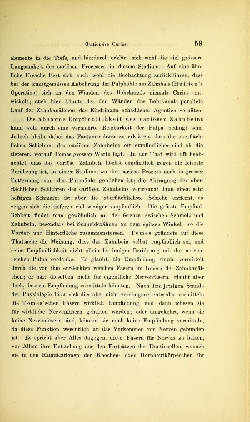 elemente in die Tiefe, und hierdurch erklärt sich wohl die viel grössere Langsamkeit des cariösen Processes in diesem Stadium. Auf eine ähn- liche Ursache lässt sich auch wohl die Beobachtung zurückführen, dass bei der kunstgemässen Anbohrung der Pulphöhle am Zahnhals (Huilien's Operation) sich an den Wänden des Bohrkanals niemals Caries ent- wickelt; auch hier könnte der den Wänden des Bohrkanals parallele Lauf der Zahnkanälchen das Eindringen schädlicher Agentien verhüten. Die abnorme Empfindlichkeit des cariösen Zahnbeins kann wohl durch eine vermehrte Keizbarkeit der Pulpa bedingt sein. Jedoch bleibt dabei das Factum schwer zu erklären, dass die oberfläch- lichen Schichten des cariösen Zahnbeins oft empfindlicher sind als die tieferen, worauf Tomes grossen Werth legt. In der That wird oft beob- achtet, dass das cariöse Zahnbein höchst empfindlich gegen die leiseste Berührung ist, in einem Stadium, wo der cariöse Process noch in grosser Entfernung von der Pulphöhle geblieben ist; die Abtragung der ober- flächlichen Schichten des cariösen Zahnbeins verursacht dann einen sehr heftigen Schmerz; ist aber die oberflächlichste Schicht entfernt, so zeigen sich die tieferen viel weniger empfindlich. Die grösste Empfind- lichkeit findet man gewöhnlich an der G-renze zwischen Schmelz und Zahnbein, besonders bei Schneidezähnen an dem spitzen Winkel, wo die Vorder- und Hinterfläche zusammenstossen. Tomes gründete auf diese Thatsache die Meinung, dass das Zahnbein selbst empfindlich sei, und seine Empfindlichkeit nicht allein der innigen Berührung mit der nerven- reichen Pulpa verdanke. Er glaubt, die Empfindung werde vermittelt durch die von ihm entdeckten weichen Fasern im Innern der Zahnkanäl- chen; er hält dieselben nicht für eigentliche Nervenfasern, glaubt aber doch, dass sie Empfindung vermitteln könnten. Nach dem jetzigen Stande der Physiologie lässt sich dies aber nicht vereinigen; entweder vermitteln die Tomes'sehen Fasern wirklich Empfindung und dann müssen sie für wirkliche Nervenfasern gehalten werden; oder umgekehrt, wenn sie keine Nervenfasern sind, können sie auch keine Empfindung vermitteln, da diese Funktion wesentlich an das Vorkommen von Nerven gebunden ist. Es spricht aber Alles dagegen, diese Fasern für Nerven zu halten, vor Allem ihre Entstehung aus den Fortsätzen der Dentinzellen, wonach sie in den Ramificationen der Knochen- oder Hornhautkörperchen ihr
