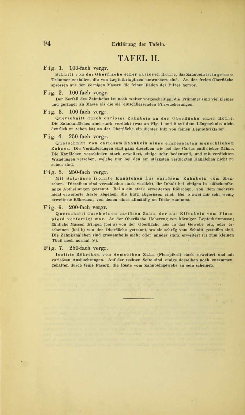 TAFEL II. ig. 1. 100-fach vergr. Schnitt von der Oberfläche einer cariösen Höhle; das Zahnbein ist in grössere Trümmer zerfallen, die von Leptothrixpilzen umwuchert sind. An der freien Oberfläche sprossen aus den körnigen Massen die feinen Fäden des Pilzes hervor. ig. 2. 100-fach vergr. Der Zerfall des Zahnbeins ist noch weiter vorgeschritten, die Trümmer sind viel kleiner und geringer an Masse als die sie einschliessenden Pilz Wucherungen. ig. 3. 100-fach vergr. Querschnitt durch cariöses Zahnbein an der Oberfläche einer Höhle. Die Zahnkanälchen sind stark verdickt (was an Fig. 1 und 2 auf dem Längsschnitt nicht deutlich zu sehen ist) an der Oberfläche ein dichter Filz von feinen Leptothrixfäden. ig. 4. 250-fach vergr. Querschnitt von cariösem Zahnbein eines eingesetzten menschlichen Zahnes. Die Veränderungen sind ganz dieselben wie bei der Caries natürlicher Zähne. Die Kanälchen verschieden stark erweitert, einige sehr bedeutend, und mit verdickten Wandungen versehen, welche nur bei den am stärksten verdickten Kanälchen nicht zu sehen sind. ig. 5. 250-fach vergr. Mit Salzsäure isolirte Kanälchen aus cariösem Zahnbein vom Men- schen. Dieselben sind verschieden stark verdickt, ihr Inhalt bei einigen in stäbchenför- mige Abtheilungen getrennt. Bei a ein stark erweitertes Röhrchen, von dem mehrere nicht erweiterte Aeste abgehen, die kurz abgerissen sind. Bei b zwei nur sehr wenig erweiterte Röhrchen, von denen eines allmählig an Dicke zunimmt. i g. 6. 200-fach vergr. Querschnitt durch einen cariösen Zahn, der aus Elfenbein vom Fluss- pferd verfertigt war. An der Oberfläche Ueberzug von körniger Leptothrixmasse; ähnliche Massen dringen (bei a) von der Oberfläche aus in das Gewebe ein, oder er- scheinen (bei b) von der Oberfläche getrennt, wo sie schräg vom Schnitt getroffen sind. Die Zahnkanälchen sind grossentheils mehr oder minder stark erweitert (c) zum kleinen Theil noch normal (d). ig. 7. 250-fach vergr. Isolirte Röhrcheu von demselben Zahn (Flusspferd) stark erweitert und mit varicösen Ausbuchtungen. Auf der rechten Seite sind einige derselben noch zusammen gehalten durch feine Fasern, die Reste vom Zahnbeingewebe zu sein scheinen.