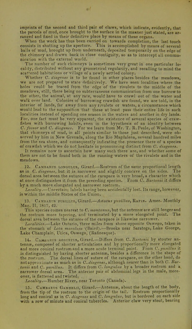 imprints of the second and third pair of claws, which indicate, evidently, that the parcels of mud, once brought to the surface in the manner just stated, are ar- ranged and fixed in their definitive place by means of these organs. When the work has thus been carried on towards completion, the last touch consists in shutting up the aperture. This is accomplished by means of several balls of mud, brought up from underneath, deposited temporarily on the edge of the chimney and drawn back in close contiguity, so as to intercept all commu- nication with the external world. The nuinber of such chimneys is sometimes very great in one particular lo- cality, distributed without any geometrical regularity, and recalling to mind the scattered habitations or village of a newly settled colony. Whether C. diogenes is to be found in other places besides the meadows, we are not prepared to state definitively. We have seen localities where the holes could be traced from the edge of the rivulets to the middle of the meadows, still, there being no subterraneous communication from one burrow to the other, the animal, at any rate, would have to crawl out of the water and walk over land. Colonies of burrowing crawfish are found, we are lold, in the interior of lands, far away from any rivulets or waters, a circumstance which would lead to the supposition that these at least pass their entire life in such localities instead of spending one season in the waters and another in dry lands, for, one fact must be very apparent, the existence of several species of craw- fishes with burrowing habits, even in the hypothesis of an identity between C. fossor and C. diogenes. For we learn from Mr. T. R. Peale, of Washington, that chimneys of mud, in all points similar to those just described, were ob- served by him in New Grenada, along the Rio Magdalena, several hundred miles from the sea shore, and consequently indicating the presence there of a species of crawfish which we do not hesitate in pronouncing distinct from C. diogenes. It remains now to ascertain how many such there are, and whether eome of them are not to be found both in the running waters of the rivulets and in the meadows. 12. CAMBARTrs LONGULTjs, Girard.—Rostrum of the same proportional length as in C. diogenes, but it is narrower and slightly concave on the sides. The dorsal area between the sutures of the carapace is very broad, a character which at once distinguishes it from the preceding species. From C. Bartonii it differs by a much more elongated and narrower rostrum. Locality.— Uncertain; labels having been accidentally lost. Its range, however, is within the middle States of the Union. 13. Cambartis PUSII.LUS, Girard.—Astacus pnsiUus,^KFi^. Amer. Monthly Mag. II, 1817, 42. This species comes nearest to C. montanus, but the antenns are still longer and the rostrum more tapering, and terminated by a more elongated point. The dorsal area between the sutures of the carapace is likewise narrower. Localities.—Lake Ontario, three miles from shore opposite Oswego, taken in the stomach of Lota 7»«c«/oia} (Baird).—Brooks near Saratoga, Lake George, Lake Champlain, Utica, Oswego, (Rafinesque). 14. Cambakus iiOHUSTus, Girard.—Differs from C. Bartonii by stouter an- tennae, composed of shorter articulations and by proportionally more elongated and more conical rostrum and a more acute terminal point- From C. pnsillus it is distinguished by having shorter antennae, besides a difference in the shape of the rostrum. The dorsal lines of suture of the carapace, on the other hand, do not approximate as much as in C. diogenes, although nearer than in both C. Bar- tonii and C. pusillus. It differs from C. longiiliis by a broader rostrum and a narrower dorsal area. The anterior pair of abdominal legs in the male, more- over, is flattened and twisted. Locality.—Humber River, near Toronto (Canada). 15. Cambards Gambelii, Girard.—Antennae, about the length of the body, from the tip of the rostrum to the origin of the tail. Rostrum proportionally long and conical as in C. diogenes and C. longnlus, but is bordered on each side ■with a row of minute and conical tubercles. Anterior claw very stout, bearing