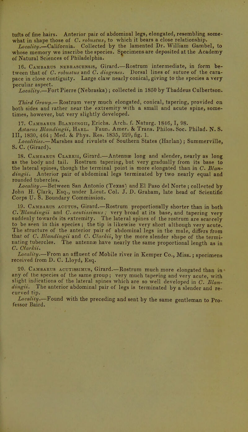 tufts of fine hairs. Anterior pair of abdonninal legs, elongated, resembling some- what in shape those of C. robnstns, to which it bears a close relationship. Locality.—California. Collected by the lamented Dr. William Gambel, to whose memory we inscribe the species. Specimens are deposited at the Academy of Natural Sciences of Philadelphia. 16. Cambarus NEBRASCENSis, Girard.—Rostrum intermediate, in form be- tween that of C. robustiis and C, dioge.nes. Dorsal lines of suture of the cara- pace in close contiguity. Large claw nearly conical, giving to the species a very peculiar aspect. Locality.—Fort Pierre (Nebraska) ; collected in 1850 by Thaddeus Culbertson. Third Gro7^?;.—Rostrum very much elongated, conical, tapering, provided on both sides and rather near the extremity with a small and acute spine, some- times, however, but very slightly developed. 17. Cambarus Blandingii, Erichs. Arch. f. Naturg. 1846, 1, 98. Astariis Blavdingii, Harl. Faun. Amer. & Trans. Philos.Soc. Philad. N. S. Ill, 1830, 464 ; Med. & Phys. Res. 1835, 229, fig. 1. Localities.—Mursihes and rivulets of Southern States (Harlan) ; Summerville, S. C. (Girard). 18. Cambarus Clarkii, Girard.—Antennae long and slender, nearly as long as the body and tail. Rostrum tapering, but very gradually from its base to the lateral spines, though the terminal point is more elongated than in C. Blan- dingii. Anterior pair of abdominal legs terminated by two nearly equal and rounded tubercles. Locality.—Between San Antonio (Texas) and El Paso del Norte ; collected by John H. Clark, Esq., under Lieut. Col. J. D. Graham, late head of Scientific Corps U. S. Boundary Commission. 19. Cambarus acutus, Girard.—Rostrum proportionally shorter than in both C. Blandivgii and C. acutissimvs; very broad at its base, and tapering very suddenly towards its extremity. The lateral spines of the rostrum are scarcely to be seen in this species ; the tip is likewise very short although very acute. The structure of the anterior pair of abdominal legs in the male, differs from that of C. Blandingii and C. Clarkii, by the more slender shape of the termi- nating tubercles. The antennae have nearly the same proportional length as in C Clarkii. Locality.—From an affluent of Mobile river in Kemper Co., Miss.; specimens received from D. C. Lloyd, Esq. 20. Cambarus acutissimus, Girard—Rostrum much more elongated than in- any of tt)e species of the same group; very much tapering and very acute, with slight indications of the lateral spines which are so well developed in C. Blan- dingii. The anterior abdominal pair of legs is terminated by a slender and re- curved tip. Locality.—YonnA with the preceding and sent by the same gentleman to Pro- fessor Baird.