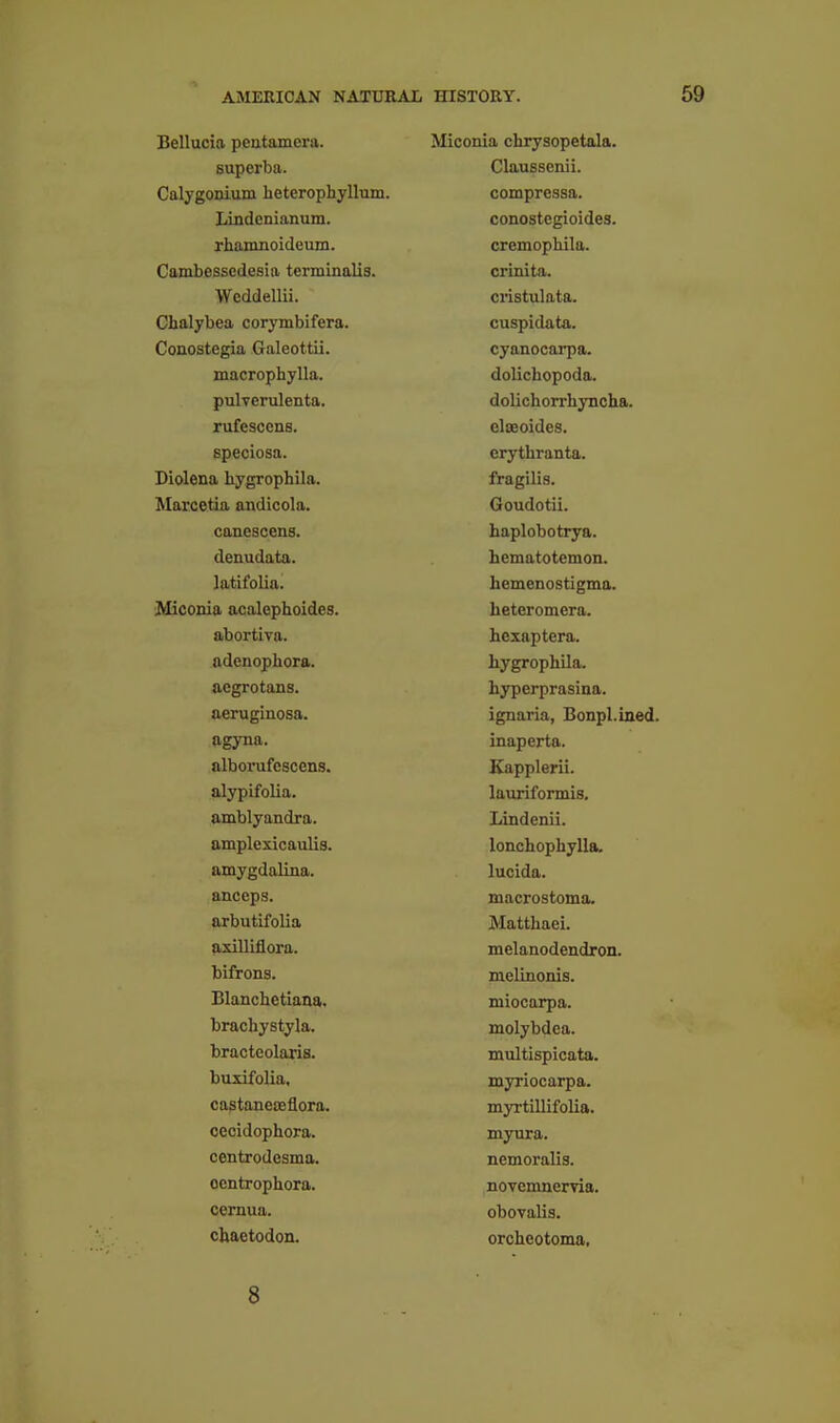Bellucia peatamera. superba. Calygonium heterophyllum. liindenianum. rhamnoideum. Cambessedesia terminalis. Weddellii. Chalybea corymbifera. Conostegia Galeottii. macrophylla. pulTerulenta. rufesccns. speciosa. Diolena hygrophila. Marcetia andicola. canescens. denudata. latifolia. Miconia acalephoides. abortiva. adenophora. aegrotans. aeruginosa. agyna. alborufcscens. alypifolia. amblyandra. amplexicaulis. amygdalina. anceps. arbutifolia axilliflora. bifrons. Blanchetiana. brachystyla. bracteolaris. buxifolia, castaneoeflora. cecidophora. centrodesma. ocntrophora. cernua. chaetodon. Miconia chrysopetala. Clausscnii. compressa. conostegioides. cremophila. crinita. cristulata. cuspidata. cyanocai-pa. dolichopoda. dolichorrhyncha. elaeoides. erythranta. fragilis. Goudotii. haplobotrya. hematotemon. liemenostigma. heteromera. hexaptera. hygrophila. hyperprasina. ignaria, Bonpl.ined. inaperta. Kapplerii. lauriformis, Lindenii. lonchophylla. lucida. macrostoma. Matthaei. melanodendron. melinonis. miocarpa. molybdea. multispicata. myriocarpa. myrtillifolia. mynra. nemoralis. novemnervia. obovalis. orcheotoma, 8