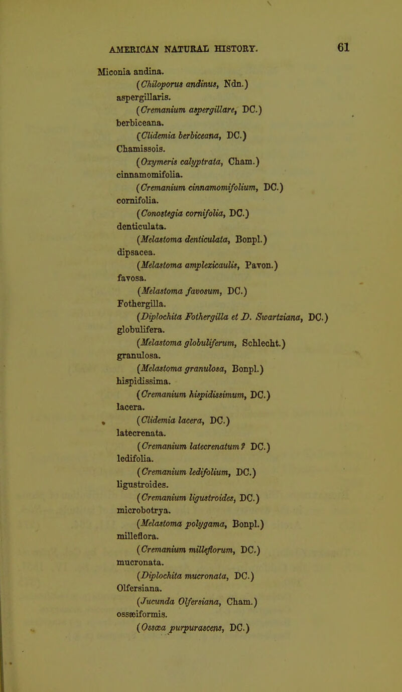 Miconia andina. (Chiloporus andinus, Ndn.) aspergilloris. (Cremanium aspergillare, DC.) berbiceana. {Clidemia berbiceana, DC.) Cbamissois. i^Oxymeria cdtyptrata, Cham.) cinnamomifolia. {Cremanium cinnamomifolium, DC.) comifolia. {Conostegia comifolia, DC) denticulata. {Melattoma denticulata, Bonpl.) dipsacea. (Melaaioma amplezicaulis, Pavon.) faTOsa. [Melastoma favosum, DC.) Fothergilla. {Diphchita FothergiUa et D. Swartziana, DC) globulifera. {Melastoma globulifemm, Schlecht.) granulosa. {Melastoma granulosa, Bonpl.) hispidissima. {Cremanium hispidissimum, DC.) lacera. , {Clidemia lacera, DC.) latecrenata. {Cremanium latecrenatumt DC.) ledifolia. {Cremanium ledtfolium, DC.) ligustroides. {Cremanium ligustroides, DC.) microbotrya. {Melastoma polygama, Bonpl.) miUeflora. {Cremanium milleflorum, DC.) mucronata. {Diphchita mucronata, DC.) Olfersiana. {Jucunda Olfersiana, Cham.) ossffiiformis. {Ossaa purpuraacens, DC.)