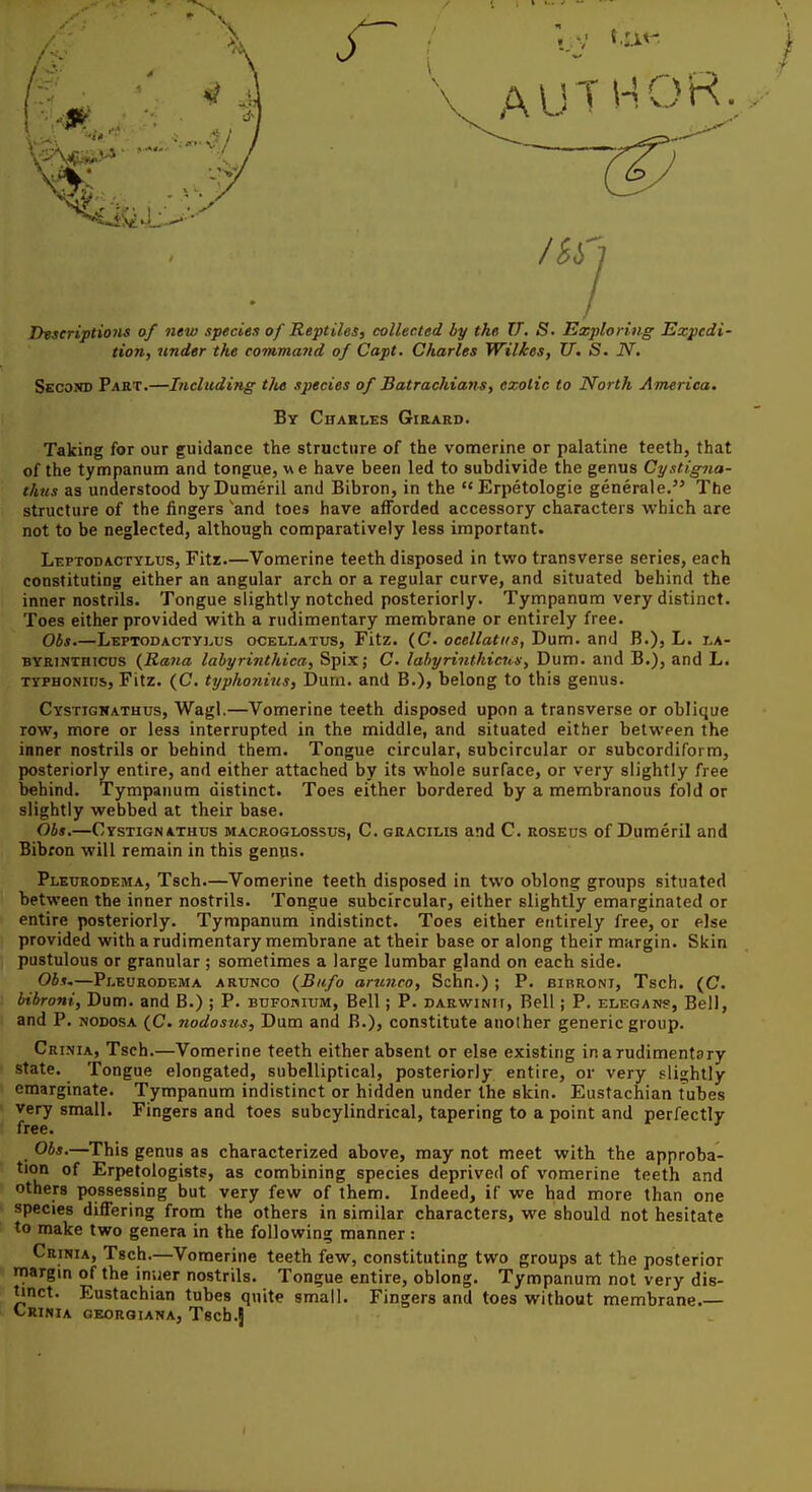 LhseriptioHs of new species of Reptiles, collected by the XT. S. Exploring Expedi- tion, binder the command of Capt. Charles Wildes, U, S. iV. Second Part.—IncludiHg tlie species of Batrachians, exotic to North America, By Charles Girard. Taking for our guidance the structure of the vomerine or palatine teeth, that of the tympanum and tongue, w e have been led to subdivide the genus Cy.itigna- thus as understood byDumeril and Bibron, in the Erpetologie generale. The structure of the fingers 'and toes have afforded accessory characters which are not to be neglected, although comparatively less important. Leptodacttlus, Fiti—Vomerine teeth disposed in tviro transverse series, each constituting either an angular arch or a regular curve, and situated behind the inner nostrils. Tongue slightly notched posteriorly. Tympanum very distinct. Toes either provided with a rudimentary membrane or entirely free. Obs Leptodactyj^us ocellatus, Fitz. (C ocellatiis, Dum. and B.), L. i^a- BYRiNTHiCHS {liana labyrinthica, Spix; C. Iahyrinfhic7is, Dum. and B.), and L. TYPHONins, Fitz. (C. typhonius, Durn. and B.), belong to this genus. Cystigmathus, Wagl.—Vomerine teeth disposed upon a transverse or oblique row, more or less interrupted in the middle, and situated either between the inner nostrils or behind them. Tongue circular, subcircular or subcordiform, posteriorly entire, and either attached by its whole surface, or very slightly free behind. Tympanum distinct. Toes either bordered by a membranous fold or slightly webbed at their base. Obs,—Cystignathus macroglossus, C. gracilis and C. roseus of Dumeril and Bibron will remain in this genus. Plburodema, Tsch.—Vomerine teeth disposed in two oblong groups situated between the inner nostrils. Tongue subcircular, either slightly emarginated or entire posteriorly. Tympanum indistinct. Toes either entirely free, or else provided with a rudimentary membrane at their base or along their margin. Skin pustulous or granular ; sometimes a large lumbar gland on each side. Ob.u—Plburodema arunco (Bnfo anmeo, Schn.) ; P. birroni, Tsch. (C bibroni, Dum. and B.) ; P. btjfohium. Bell; P. darwinii. Bell j P. elegan?, Bell, and P. nodosa (C. 7iodosus, Dum and B.), constitute anolher generic group. Cri.nia, Tsch.—Vomerine teeth either absent or else existing in a rudimentary state. Tongue elongated, subelliptical, posteriorly entire, or very slightly emarginate. Tympanum indistinct or hidden under the skin. Eustachian tubes very small. Fingers and toes subcylindrical, tapering to a point and perfectly free. Obs.—This genus as characterized above, may not meet with the approba- tion of Erpetologists, as combining species deprived of vomerine teeth and others possessing but very few of them. Indeed, if we had more than one species differing from the others in similar characters, we should not hesitate to make two genera in the following manner: Crinia, Tsch—Vomerine teeth few, constituting two groups at the posterior margm of the inner nostrils. Tongue entire, oblong. Tympanum not very dis- tinct. Eustachian tubes quite small. Fingers and toes without membrane.— Crinia georoiana, Tscb.J