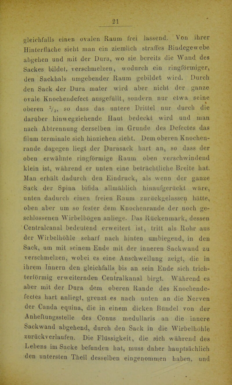 oleiehfalls einen ovalen Raum frei lassend. Von ihrer Hinterfläche sieht man ein ziemlich straffes Bindegewebe abgehen und mit der Dura, wo sie bereits die Wand des Sackes bildet, verschmelzen, wodurch ein ringförmiger, den Sackhals umgebender Raum gebildet wird. Durch den Sack -der Dura mater wird aber nicht der ganze ovale Knochendefect ausgefüllt, sondern nur etwa seine oberen V3, so dass das unlere Drittel nur durch die darüber hin wegziehende Haut bedeckt wird und man nach Abtrennung derselben im Grunde des Defectes das filum terminale sich hinziehen sieht. Dem oberen Knochen- rande dagegen liegt der Durasack hart an, so dass der oben erwähnte ringförmige Raum oben verschwindend klein ist, während er unten eine beträchtliche Breite hat. Man erhält dadurch den Eindruck, als wenn der ganze Sack der Spina bifida allmählich hinaufgerückt wäre, unten dadurch einen freien Raum zurückgelassen hätte, oben aber um so fester dem Knochenrande der noch ge- schlossenen Wirbelbügen anliege. Das Rückenmark, dessen Centralcanal bedeutend erweitert ist, tritt als Rohr aus der Wirbelhöhle scharf nach hinten umbiegend, in den Sack, um mit seinem Ende mit der inneren Sackwand zu verschmelzen, wobei es eine Anschwellung zeigt, die in ihrem Innern den gleichfalls bis an sein Ende sich trieb- terförmig erweiternden Centraikanal birgt. Während es aber mit der Dura dem oberen Rande des Knochende- fecles hart anliegt, grenzt es nach unten an die Nerven der Canda equina, die in einem dicken Bündel von der Anheftungsstelle des Conus medullaris an die innere Sackwand abgehend, durch den Sack in die Wirbelhühle zurückverlaufen. Die Flüssigkeit, die sich während des Lebens im Sacke befunden hat, muss daher hauptsächlich den untersten Tiieil desselben eingenommen haben, und