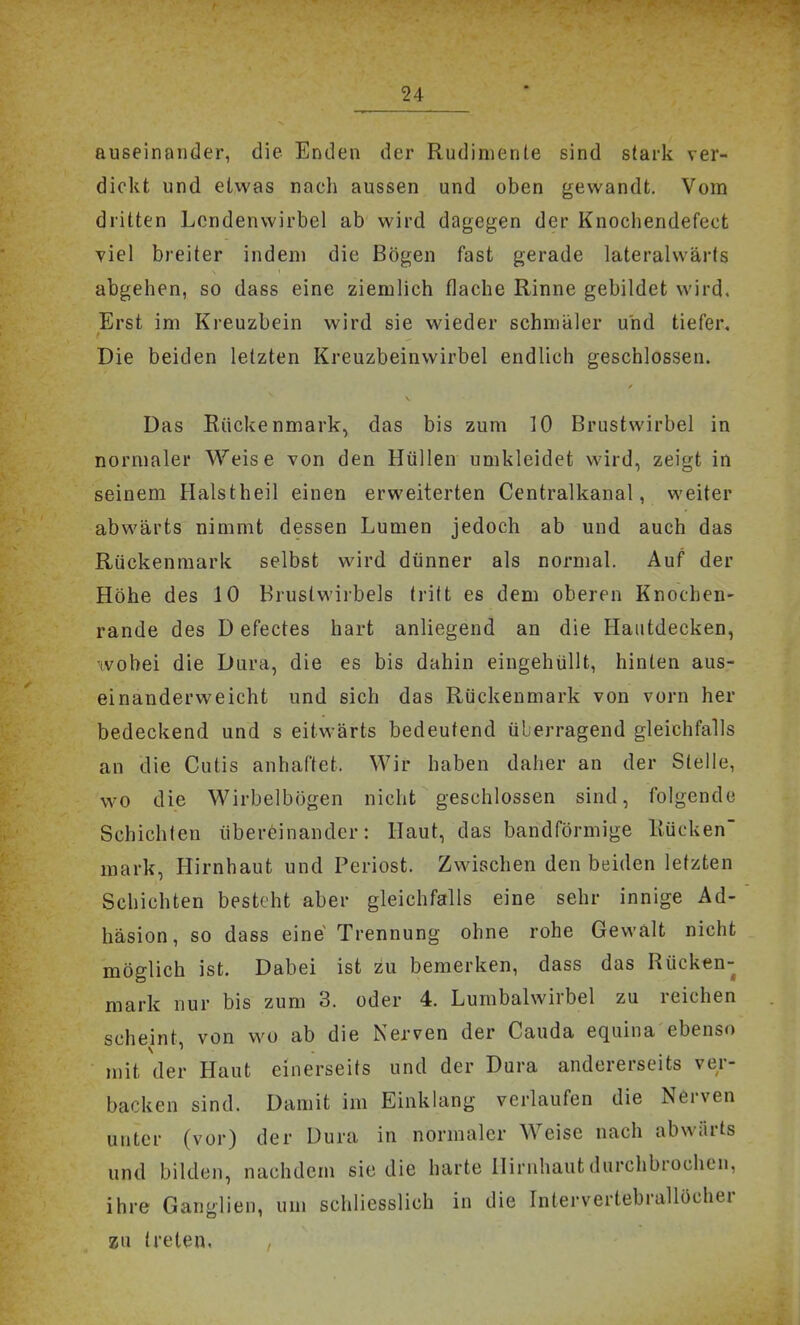 auseinander, die Enden der Rudimente sind stark ver- dickt und etwas nacli aussen und oben gewandt. Vom dritten Lendenwirbel ab wird dagegen der Knochendefect viel breiter indem die Bögen fast gerade lateralwärts abgehen, so dass eine ziemlich flache Rinne gebildet wird. Erst im Kreuzbein wird sie wieder schmäler und tiefer. Die beiden letzten Kreuzbeinwirbel endlich geschlossen. Das Rückenmark, das bis zum 10 Brustwirbel in normaler Weise von den Hüllen umkleidet wird, zeigt in seinem Halstheil einen erweiterten Centraikanal, weiter abwärts nimmt dessen Lumen jedoch ab und auch das Rückenmark selbst wird dünner als normal. Auf der Höhe des 10 Brustwiibels tritt es dem oberen Knothen- rande des D efectes hart anliegend an die Hautdecken, wobei die Dura, die es bis dahin eingehüllt, hinten aus- einanderweicht und sich das Rückenmark von vorn her bedeckend und s eitwärts bedeutend überragend gleichfalls an die Cutis anhaftet. Wir haben daher an der Stelle, wo die Wirbelbögen nicht geschlossen sind, folgende Schichten übereinander: Haut, das bandförmige Rücken mark, Hirnhaut und Periost. Zwischen den beiden letzten Schichten besteht aber gleichfalls eine sehr innige Ad- häsion, so dass eine Trennung ohne rohe Gewalt nicht möglich ist. Dabei ist zu bemerken, dass das Rücken- mark nur bis zum 3. oder 4. Lurabalwirbel zu reichen scheint von wo ab die Nerven der Cauda equina ebenso mit der Haut einerseits und der Dura andererseits ver- backen sind. Damit im Einklang verlaufen die Nerven unter (vor) der Dura in normaler Weise nach abwärts und bilden, nachdem sie die harte Hirnhaut durchbrochen, ihre Ganglien, um schliesslich in die Intervertebrallöcher zu treten, ,