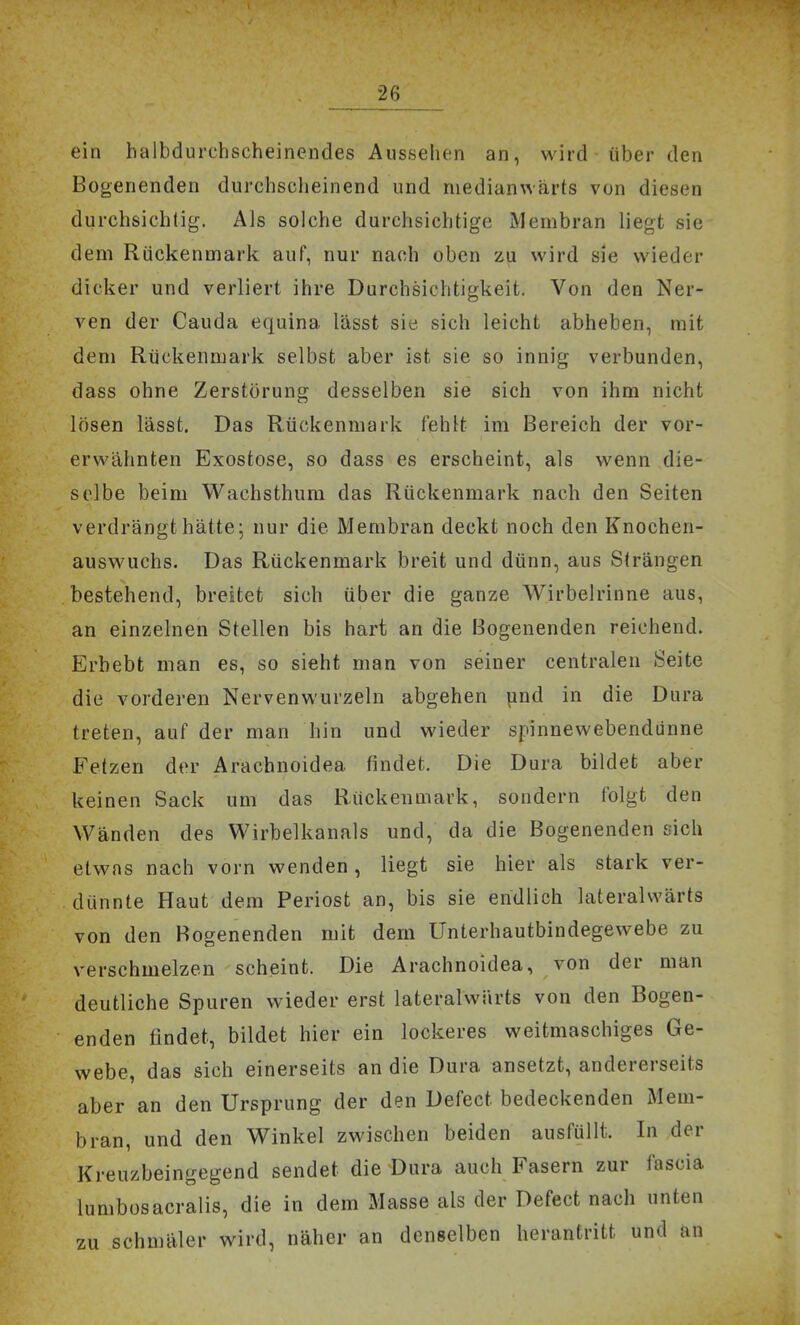 ein halhdurchscheincndes Aussehen an, wird über den Bogenenden durchscheinend und medianwärts von diesen durchsichtig. Als solche durchsichtige Membran liegt; sie dem Rückenmark auf, nur nach oben zu wird sie wieder dicker und verliert ihre Durchsichtigkeit. Von den Ner- ven der Cauda equina lässt sie sich leicht abheben, mit dem Rückenmark selbst aber ist sie so innig verbunden, dass ohne Zerstörung desselben sie sich von ihm nicht lösen lässt. Das Rückenmark fehlt im Bereich der vor- erwähnten Exostose, so dass es erscheint, als wenn die- selbe beim Wachsthum das Rückenmark nach den Seiten verdrängt hätte; nur die Membran deckt noch den Knochen- auswuchs. Das Rückenmark breit und dünn, aus Strängen bestehend, breitet sich über die ganze Wirbelrinne aus, an einzelnen Stellen bis hart an die Bogenenden reichend. Erbebt man es, so sieht man von seiner centralen Seite die vorderen Nervenwurzeln abgehen pnd in die Dura treten, auf der man hin und wieder spinnewebendünne Fetzen der Arachnoidea findet. Die Dura bildet aber keinen Sack um das Rückenmark, sondern folgt den Wänden des Wirbelkanals und, da die Bogenenden sich elwfis nach vorn wenden, liegt sie hier als stark ver- dünnte Haut dem Periost an, bis sie endlich lateralwärts von den Bogenenden mit dem Unterhautbindegewebe zu verschmelzen scheint. Die Arachnoidea, von der man deutliche Spuren wieder erst lateralwärts von den Bogen- enden findet, bildet hier ein lockeres weitmaschiges Ge- webe, das sich einerseits an die Dura ansetzt, andererseits aber an den Ursprung der den Defect bedeckenden Mem- bran, und den Winkel zwischen beiden ausfüllt. In der Kreuzbeingegend sendet die Dura auch Fasern zur fascia lumbüsacralis, die in dem Masse als der Defect nach unten zu schmäler wird, näher an denselben herantritt und an