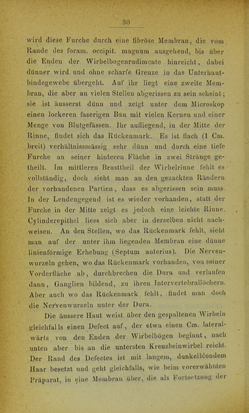 wird diese Furche durch eine fibröse Membran, die vom Rande des foram. occipit, magnum aus{;^ehend, bis über die Enden der Wirbelbogenrudimonte hinreicht, dabei dünner wird und ohne scharfe Grenze in das Unterhaut- bindegewebe übergeht. Auf ihr liegt eine zweite Mem- bran, die aber an vielen Stellen abgerissen zu sein scheint; sie ist äusserst dünn und . zeigt unter dem Microskop einen lockeren faserigen Bau mit vielen Kernen und einer Menge von Blutgefässen. Ihr aufliegend, in der Mitte der Rinne, findet sich das Rückenmark. Es ist flach (1 Cm. breit) verhältnissmässig sehr dünn und durch eine tiefe Furche an seiner hinteren Fläche in zwei Stränge ge- theilt. Im mittleren Brusttlieil der Wirbelrinne fehlt es vollständig, doch sieht man an den gezackten Rändern der vorhandenen Partien, dass es al)gerissen sein muss. In der Lendengegend ist es wieder vorhanden, statt der Furche in der Mitte zeigt es jedoch eine leichte Rinne. Cylinderepithel Hess sich aber in derselben nicht nach- weisen. An den Stellen, wo das Rückenmark fehlt, sieht man auf der unter ihm liegenden Membran eine dünne linienförmige Erhebung (Septum anterius). Die Nerven- wurzeln gehen, wo das Rückenmark vorhanden, von seiner Vorderfläche ab, durchbrechen die Dura und verlaufen dann, Ganglien bildend, zu ihren Intervertebrallüchern. Aber auch wo das Rückenmark fehlt, findet man doch die Nei-'venwurzeln unter der Dura. Die äussere Haut weist über den gespaltenen Wirbeln gleichfalls einen Defect auf, der etwa einen Cm. lateral- wärts von den Enden der Wirbelbögen beginnt, nach unten aber bis an die untersten Kreuzbeinwirbel reicht. Der Rand des Defectes ist mit langem, dunkelblondem Haar besetzt und geht gleichfalls, wie beim vorersvähnten Präparat, in eine Membran über, die als Fortsetzung der