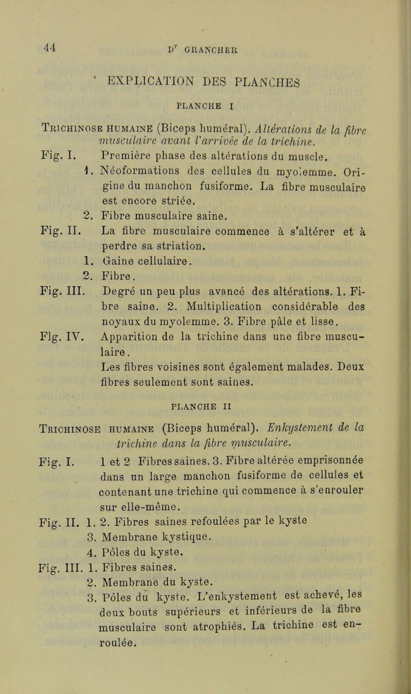 • EXPLICATION DES PLANCHES PLANCHE I Trichinose humaine (Biceps huméral). AUéraliom de la fibre musculaire avant Varrivèe de la trichine. Fig. I. Première phase des altérations du muscle. \. Néoformations des cellules du mjolemme. Ori- gine du manchon fusiforme. La fibre musculaire est encore striée. 2. Fibre musculaire saine. Fig. IL La fibre musculaire commence à s'altérer et à perdre sa striation. 1. Gaine cellulaire. 2. Fibre. Fig. III. Degré un peu plus avancé des altérations. 1. Fi- bre saine. 2. Multiplication considérable des noyaux du mjolemme. 3. Fibre pâle et lisse. Fig. IV. Apparition de la trichine dans une fibre muscu- laire . Les fibres voisines sont également malades. Deux fibres seulement sont saines. PLA.NCHE II Trichinose humaine (Biceps huméral). Enkystement de la trichine dans la fibre musculaire. Fig. I. 1 et 2 Fibres saines. 3. Fibre altérée emprisonnée dans un large manchon fusiforme de cellules et contenant une trichine qui commence à s'eurouler sur elle-même. Fig. IL 1. 2. Fibres saines refoulées par le kyste 3. Membrane kystique. 4. Pôles du kyste. Fig. III. 1. Fibres saines. 2, Membrane du kyste. 3. Pôles du kyste. L'enkystement est achevé, les deux bouts supérieurs et inférieurs de la fibre musculaire sont atrophiés. La trichine est en- roulée.