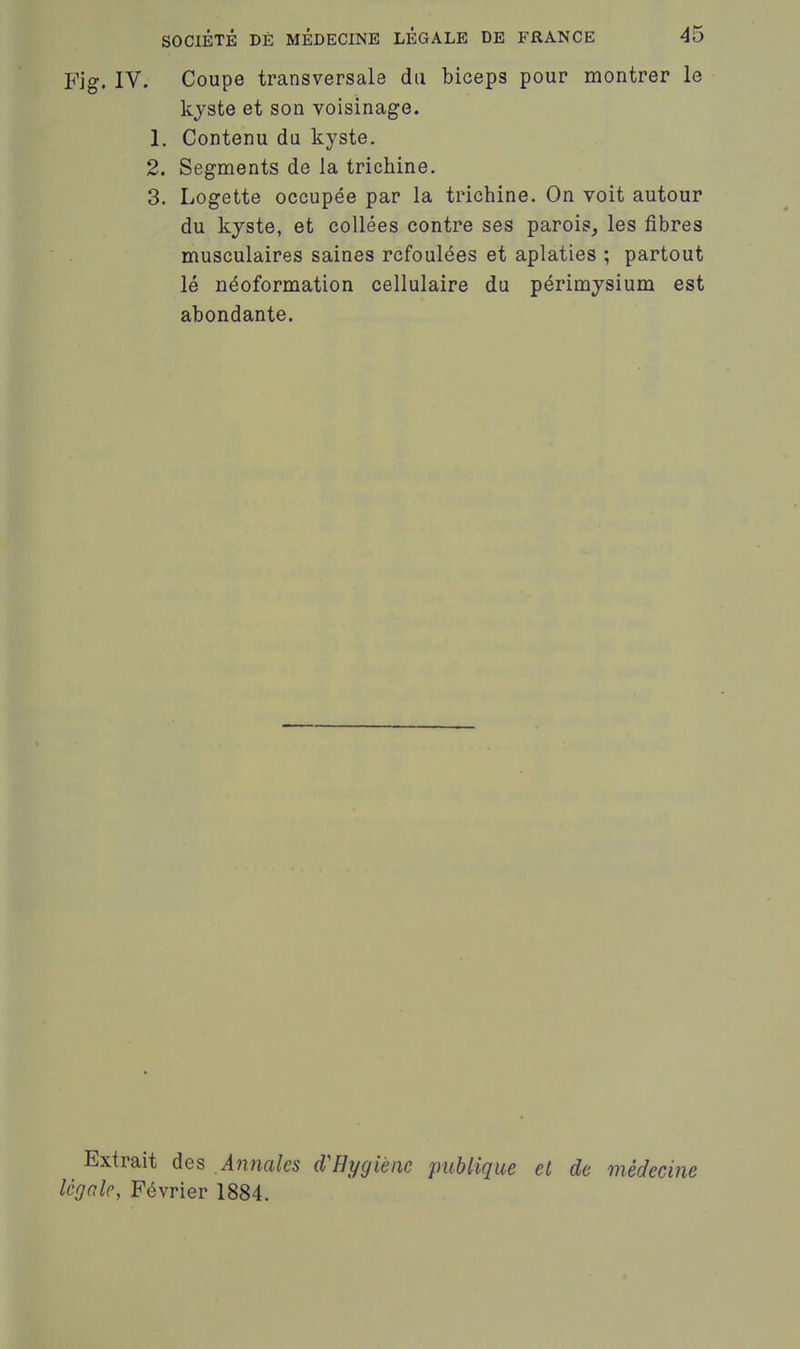 SOCIÉTÉ DÈ MÉDECINE LÉGALE DE FRANCE 45 Fig. IV. Coupe transversale du biceps pour montrer le kjste et son voisinage. 1. Contenu du kyste. 2. Segments de la trichine. 3. Logette occupée par la trichine. On voit autour du kyste, et collées contre ses parois, les fibres musculaires saines refoulées et aplaties ; partout lé néoformation cellulaire du périmysium est abondante. Extrait des Annales d'Hygiène publique et de médecine légale, Février 1884.