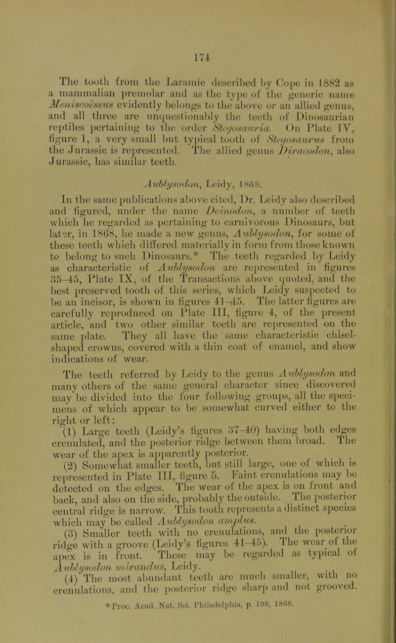 The tooth from the Laramie described hy Cope in 1882 as a mammalian premolar and as the tyj)e of the generic name Meniscoiissus evidently belongs to the above or an allied genus, and all three are unquestionably the teeth of Dinosaurian reptiles pertaining to the order Steyusimria. On Plate lY, hgure 1, a very small but typical tooth of Stegomiorus from the Jurassic is represented. The allied genus Diracodon^ also Jurassic, has similar teeth. Auhlysodon^ Leidy, 1868. In the same publications above cited, Dr. Leidy also described and figured, under the name Delnodon^ a number of teeth which he regarded as pertaining to carnivorous Dinosaurs, but lator, in 1868, he made a new genus, Auhlysodon, for some of these teeth which differed materially in form from those known t(? belong to such Dinosaurs.'^ The teeth regarded by Leidy as characteristic of Auhlysodon are represented in figures 35—15, Plate IX, of the Transactions above quoted, and the best preserved tooth of this series, which Leidy suspected to be an incisor, is shown in figures 41-?±5. The latter figures are carefully reproduced on Plate III, figure 4, of the present article, and two other similar teeth are represented on the same plate. They all have the same characteristic chisel- shaped crowns, covered with a thin coat of enamel, and show indications of wear. The teeth referred by Leidy to the genus Atihhjsodon and many others of the same general character since discovered may be divided into the four following groups, all the speci- mens of which appear to be somewhat curved either to the right or left: (1) Large teeth (Leidy's figures 37-40) having both edges crenulated, and the posterior ridge between them broad. The wear of the apex is apparently posterior. (2) Somewhat smaller teeth, but still large, one of which is represented in Plate III, figure 5. Faint crenulations may be detected on the edges. The wear of the apex is on front and back, and also on the side, probably the outside. The posterior central ridge is narrow. This tooth represents a distinct species which may be called Auhlysodon ainplus. (3) Smaller teeth with no crenulations, and the posterior ridge with a groove (Leidy's figures 41-45). The wear of the apex is in f'ront. These may be regJirded as typical of AuUyfiodon mirandtis, Leidy. (4) 'The most abundant teeth are much smaller, with no crenulations, and the posterior ridge sharj) and not grooved. *Proc. Acad. Nat. 8ci. Pliiladulphia, p. IKS, 1868.
