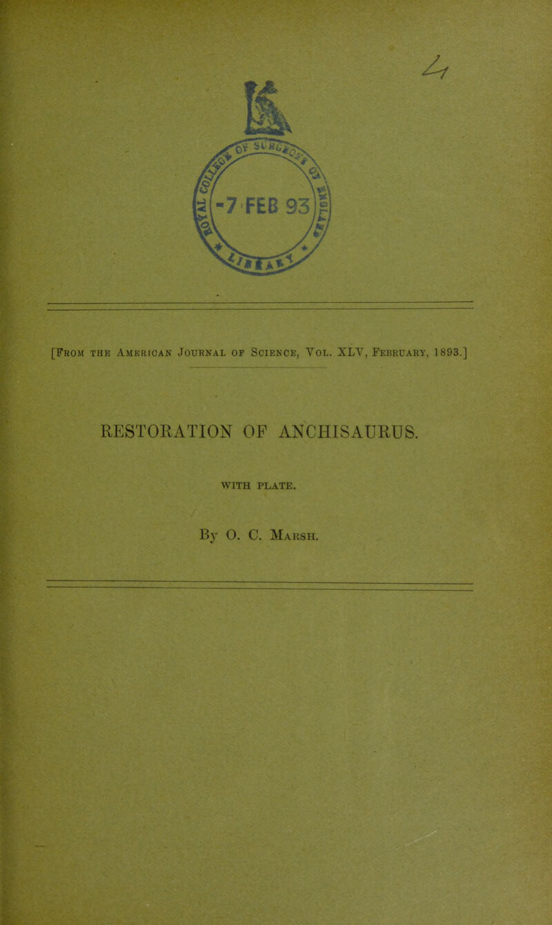 [From the American Journal op Science, Vol. XLV, February, 1893.] RESTORATION OP ANCHISAURUS. WITH PLATE. By O. C. Marsh.