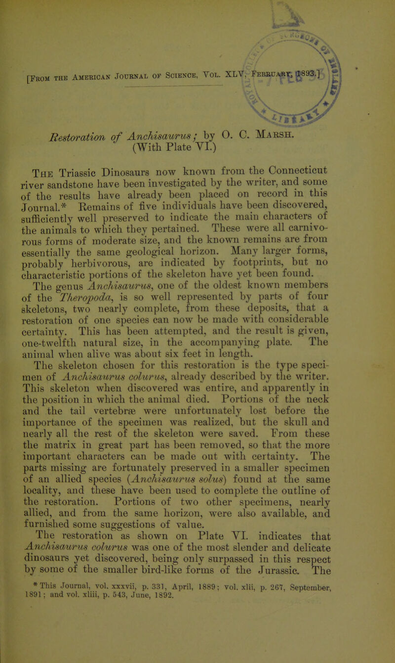 Restoration of AncUsaurus; by O. C. Maesh. ' (With Plate yi.) The Triassic Dinosaurs now known from the Connecticut river sandstone have been investigated by the writer, and some of the results have already been placed on record in this Journal* Remains of five individuals have been discovered, sufficiently well preserved to indicate the main characters of the animals to which they pertained. These were all carnivo- rous forms of moderate size, and the known remains are from essentially the same geological horizon. Many larger forms, probably herbivorous, are indicated by footprints, but no characteristic portions of the skeleton have yet been found. The genus Anohisaurus, one of the oldest known members of the Theropoda, is so well represented by parts of four skeletons, two nearly complete, from these deposits, that a restoration of one species can now be made with considerable certainty. This has been attempted, and the result is given, one-twelfth natural size, in the accompanying plate. The animal when alive was about six feet in length. The skeleton chosen for this restoration is the type speci- men of Anohisaurus eoluriis^ already described by the writer. This skeleton when discovered was entire, and apparently in the position in which the animal died. Portions of the neck and the tail vertebrae were unfortunately lost before the importance of the specimen was realized, but the skull and nearly all the rest of the skeleton were saved. From these the matrix in great part has been removed, so that the more important characters can be made out with certainty. The parts missing are fortunately preserved in a smaller specimen of an allied species {Anohisaurus solus) found at the same locality, and these have been used to complete the outline of the restoration. Portions of two other specimens, nearly allied, and from the same horizon, were also available, and furnished some suggestions of value. The restoration as shown on Plate YI. indicates that Anchisaurus colurus was one of the most slender and delicate dinosaurs yet discovered, being only surpassed in this respect by some of the smaller bird-like forms of the Jurassic. The *This Journal, vol. xxxvii, p. 331, April, 1889: Tol. xlii, p. 267, September,