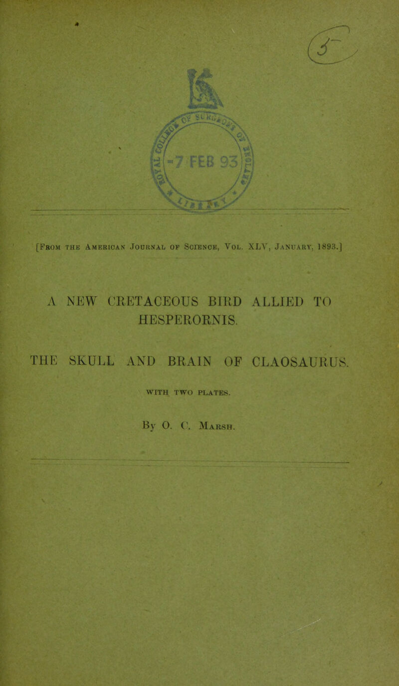 [From thk American Journal op ScrENOE, Vol. XL\ , Jam auy, 189.H.J A NEW CRETACEOUS BIRD ALLIED TO HESPERORNIS. THE SKULL AND BRAIN OF CLAOSAURUS. WITH TWO PLATES. By O. ( . Marsh.