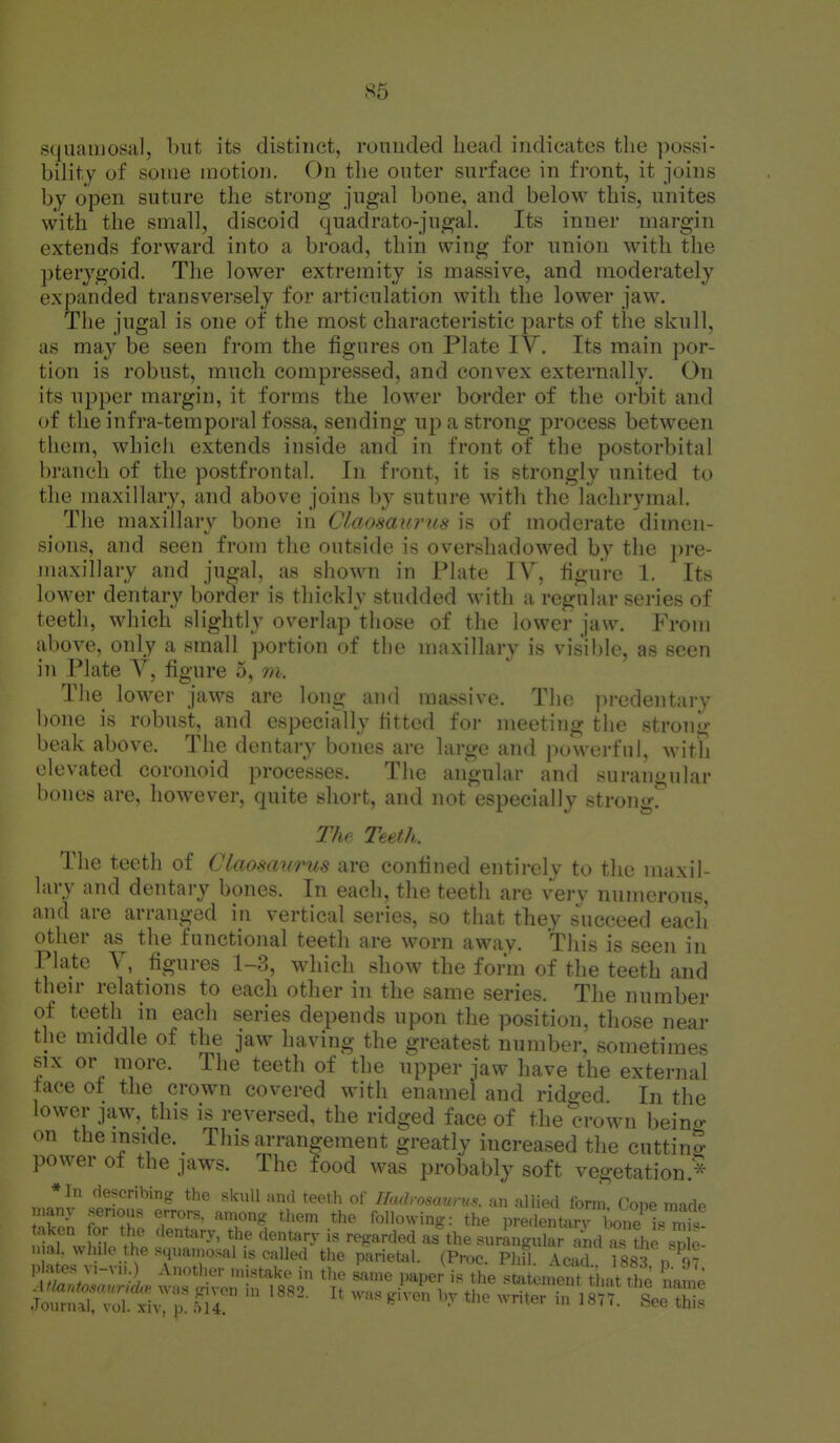 86 squamosa], but its distinct, rounded head indicates the possi- bility of some motion. On the outer surface in front, it joins bj open suture the strong jugal bone, and below this, unites with the small, discoid quadrato-jugal. Its inner margin extends forward into a broad, thin wing for union with the pterygoid. The lower extremity is massive, and moderately expanded transversely for articulation with the lower jaw. The jugal is one of the most characteristic parts of the skull, as may be seen from the figures on Plate IV. Its main por- tion is robust, much compressed, and convex externally. On its upper margin, it forms the lower border of the orbit and of the infra-temporal fossa, sending up a strong process between them, which extends inside and in front of the postorbital branch of the postfrental. In front, it is strongly united to the maxillary, and above joins by suture with the lachrymal. The maxillary bone in Claosaurus is of moderate dimen- sions, and seen from the outside is overshadowed by the pre- maxillary and jugal, as shown in Plate IV, figure 1. Its lower dentary border is thickly studded with a regular series of teeth, which slightly overlap those of the lower jaw. From al)0ve, only a small portion of the maxillary is visible, as seen in Plate V, figure 5, m. The lower jaws are long and massive. The predentary bone is robust, and especially fitted for meeting the strong- beak above. The dentary bones are large and powerful, with elevated coronoid processes. The angular and surangular bones are, howevei-, quite short, and not especially strong. The Teeth. The teeth of Claosaurus are confined entirely to the maxil- lary and dentary bones. In each, the teeth are very numerous, and are arranged in vertical series, so that they succeed each other as the functional teeth are worn awav. This is seen in Plate V, figures 1-3, which show the form of the teeth and their relations to each other in the same series. The number of teeth in each series depends upon the position, those near the middle of the jaw having the greatest number, sometimes SIX or more. The teeth of the upper jaw have the external tace ot the crown covered with enamel and ridged In the lower jaw, this is reversed, the ridged face of the crown beino- on themside.^ This arrangement greatly increased the cutting power of the jaws. The food was probably soft vegetation *In describing the skull nnd teeth of Hadroscmrus. an allied form. Cope made ko-n Srthl TT' 'r°-^ MXo^nr.^: the predentarv W I mi,! taken for the dentary, the dentary is regarded as the surangular and as tlie sdle- n a . while he squamosal is called the pariet^d. (Proc. Phfl. Acad tssTn 9? , at^s v,-vu.) Another u.istako in the same paper is the st^itenfeS^^^ihat the name jt:t;!t:i't.:;rsr' ^^--^--^^^^hewnter imsTrtrts: