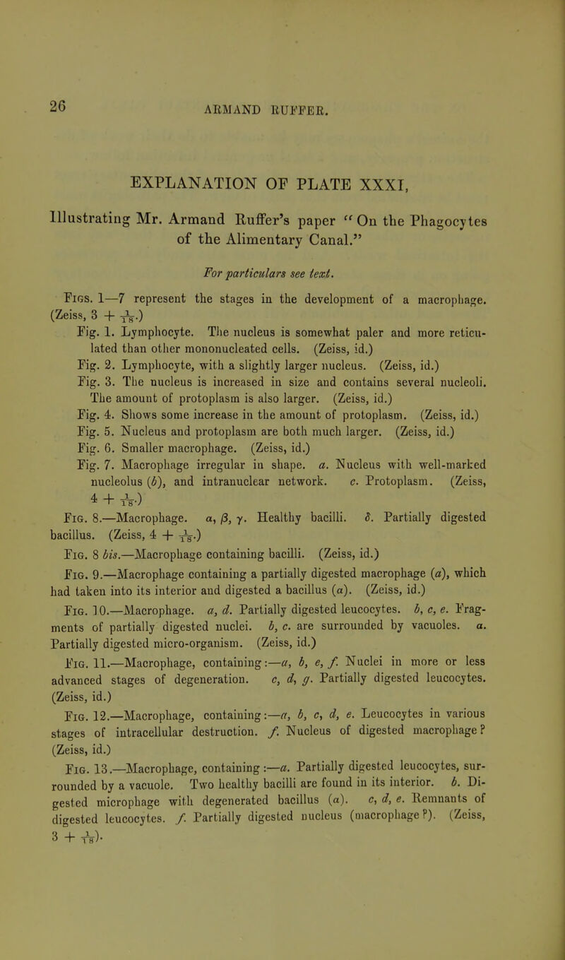 EXPLANATION OF PLATE XXXI, Illustrating Mr. Armand Ruffer's paper On the Phagocytes of the Alimentary Canal. Vor 'particulars see text. Figs. 1—7 represent the stages in the development of a macrophage. (Zeiss, 3 + -jL.) Fig. 1. Lympliocyte. The nucleus is somewhat paler and more reticu- lated than other mononucleated cells. (Zeiss, id.) Fig. 2. Lymphocyte, with a slightly larger nucleus. (Zeiss, id.) Fig. 3. The nucleus is increased in size and contains several nucleoli. The amount of protoplasm is also larger. (Zeiss, id.) Fig. 4. Shows some increase in the amount of protoplasm. (Zeiss, id.) Fig. 5. Nucleus and protoplasm are both much larger. (Zeiss, id.) Fig. 6. Smaller macrophage. (Zeiss, id.) Fig. 7. Macrophage irregular in shape, a. Nucleus with well-marked nucleolus {b), and intranuclear network. c. Protoplasm. (Zeiss, 4 + 1^.) Fig. 8.—Macrophage, a, /3, y. Healthy bacilli. 5. Partially digested bacillus. (Zeiss, 4 + j^^.) Fig. 8 bis.—Macrophage containing bacilli. (Zeiss, id.) Fig. 9.—Macrophage containing a partially digested macrophage (a), which had taken into its interior and digested a bacillus (a). (Zeiss, id.) Fig. 10.—Macrophage, a, d. Partially digested leucocytes, b, c, e. Frag- ments of partially digested nuclei, b, c. are surrounded by vacuoles, a. Partially digested micro-organism. (Zeiss, id.) Fig. 11.—Macrophage, containing b, e, f. Nuclei in more or less advanced stages of degeneration. c, d, g. Partially digested leucocytes. (Zeiss, id.) Fig. 12.—Macrophage, containing:—a, b, c, d, e. Leucocytes in various stages of intracellular destruction. /. Nucleus of digested macrophage? (Zeiss, id.) Fig. 13.—Macrophage, containing Partially digested leucocytes, sur- rounded by a vacuole. Two healthy bacilli are found in its interior, b. Di- gested microphage with degenerated bacillus (a). c, d, e. Remnants of digested leucocytes. /. Partially digested nucleus (macrophage?). (Zeiss, 3 + -h)-