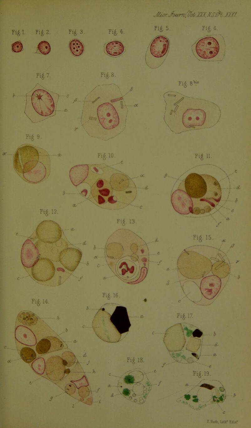 Fig. 7. Fi^.8. 0 F.HutK, LUh'Edm'