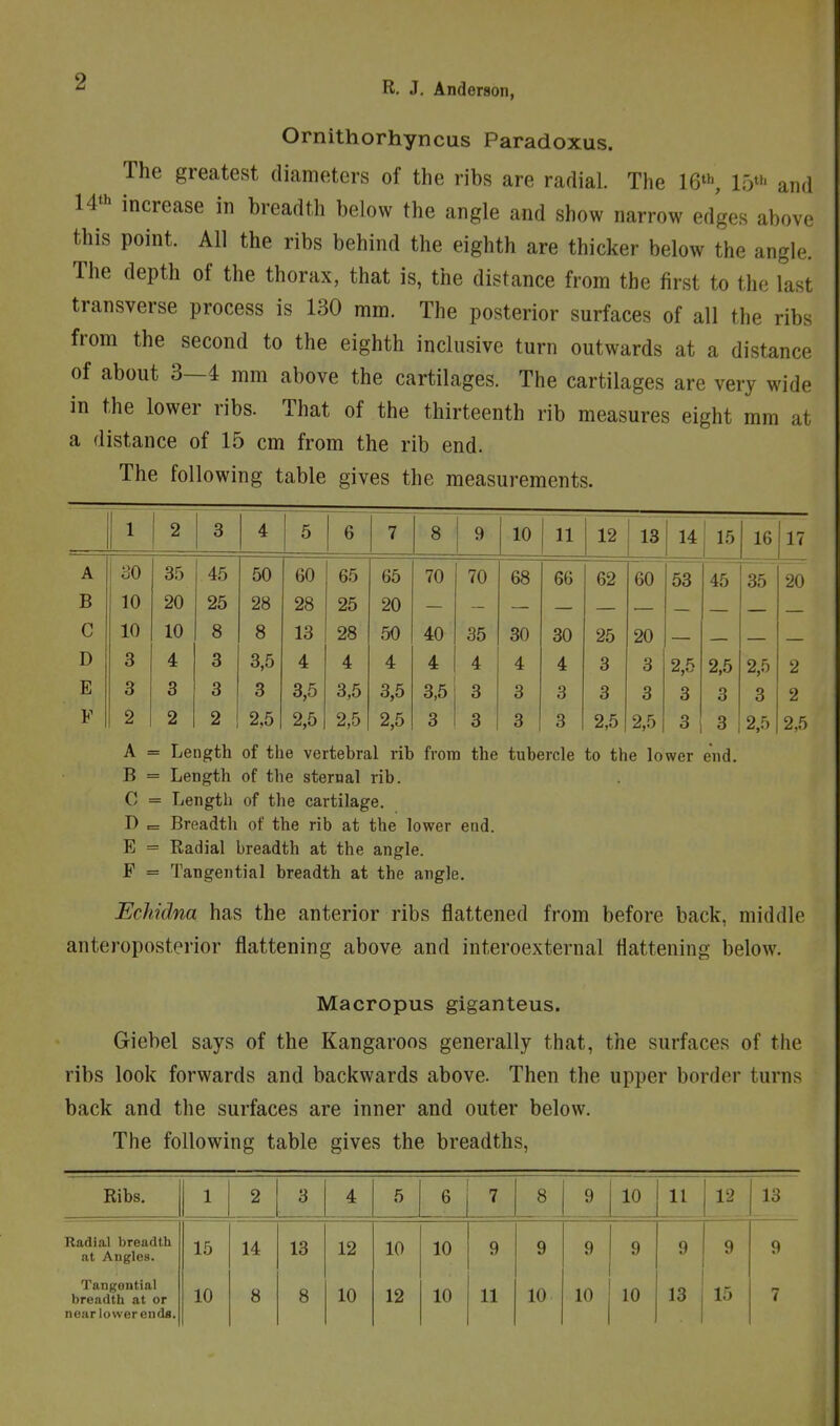 2 Ornithorhyncus Paradoxus. The greatest diameters of the ribs are radial. The 16', 15' and 14*^ increase in breadth below the angle and show narrow edges above this point. All the ribs behind the eighth are thicker below the angle. The depth of the thorax, that is, the distance from the first to the last transverse process is 130 mm. The posterior surfaces of all the ribs from the second to the eighth inclusive turn outwards at a distance of about 3—4 mm above the cartilages. The cartilages are very wide in the lower ribs. That of the thirteenth rib measures eight mm at a distance of 15 cm from the rib end. The following table gives the measurements. 1 2 3 4 5 6 7 8 9 10 11 12 13 14 1 16 17 A 30 35 45 50 60 65 65 70 70 68 66 62 60 53 45 35 . 20 B 10 20 25 28 28 25 20 C 10 10 8 8 13 28 50 40 35 30 30 25 20 D 3 4 3 3,5 4 4 4 4 4 4 4 3 3 2,5 2,5 2 E 3 3 3 3 3,5 3,5 3,5 3,5 3 3 3 3 3 3 3 3 2 F 2 2 2 2,5 2,5 2,5 2,5 3 3 3 3 2,5 2,5 3 3 2.5 2,5 A = Length of the vertebral rib from the tubercle to the lower end. B = Length of the sternal rib. C = Length of the cartilage. D = Breadth of the rib at the lower end. E = Radial breadth at the angle. F = Tangential breadth at the angle. EcMdna has the anterior ribs flattened from before back, middle anteroposterior flattening above and interoexternal flattening below. Macropus giganteus. Giebel says of the Kangaroos generally that, the surfaces of the ribs look forwards and backwards above. Then the upper border turns back and the surfaces are inner and outer below. The following table gives the breadths, Ribs. 1 2 3 4 5 6 7 8 9 10 11 12 13 Radial breadth at Angles. 15 14 13 12 10 10 9 9 9 9 9 9 9 Tangential near lower ends.