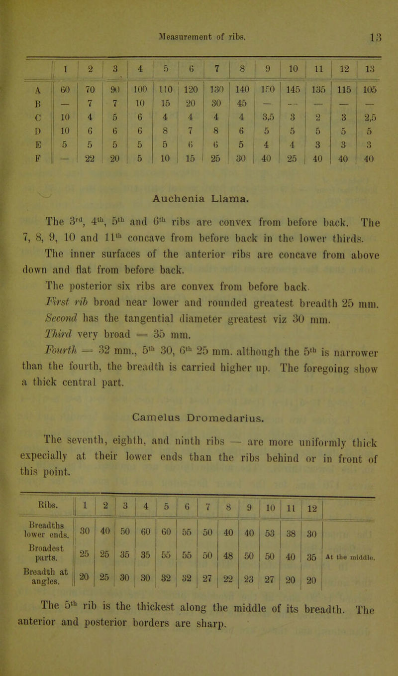 1 1 ^ 2 ^ 4: c 0 b 7 Q O y ■ir» lU 11 12 lo A 60 70 90 100 110 120 130 140 If.O 145 135 115 105 — 7 7 10 15 20 30 45 — — — — — C 10 4 5 6 4 4 4 4 3,5 3 2 3 2,5 D 1 10 6 6 6 8 7 8 6 5 5 5 5 ^ o E ! 5 5 5 5 5 (5 <) 5 4 4 3 3 3 F 1 - 22 20 5 10 15 1 25 30 40 25 40 40 40 Auchenia Llama. The S'*^, 4''*, 5^^^ and G' ribs are convex from before back. The 7, 8, 9, 10 and 11' concave from before back in the lower thirds. The inner surfaces of the anterior ribs are concave fi-om above down and flat from before back. The posterior six ribs are convex from before back. First rib broad near lower and rounded greatest breadth 25 mm. Second has the tangential diameter greatest viz 30 mm. Third very broad = 35 mm. Fourth = 32 mm., 5' 30, Q>^^ 25 mm. although the 5*1^ is narrower than the fourth, the breadth is carried higher up. The foregoing show a thick central part. Camelus Dromedarius. The seventh, eighth, and ninth ribs — are more uniformly thick expecially at their lower ends than the ribs behind or in front of this point. Ribs. 1 2 3 4 5 6 7 8 9 10 11 12 Breadths lower ends. 1 '30 40 50 60 60 55 50 40 40 53 38 30 Broadest parts. 1 25 25 35 35 55 55 50 48 50 50 40 35 At the middle. f Breadth at angles, j 20 25 30 30 32 32 27 22 23 27 20 20 The 5^'^ rib is the thickest along the middle of its breadth. The anterior and posterior borders are sharp.