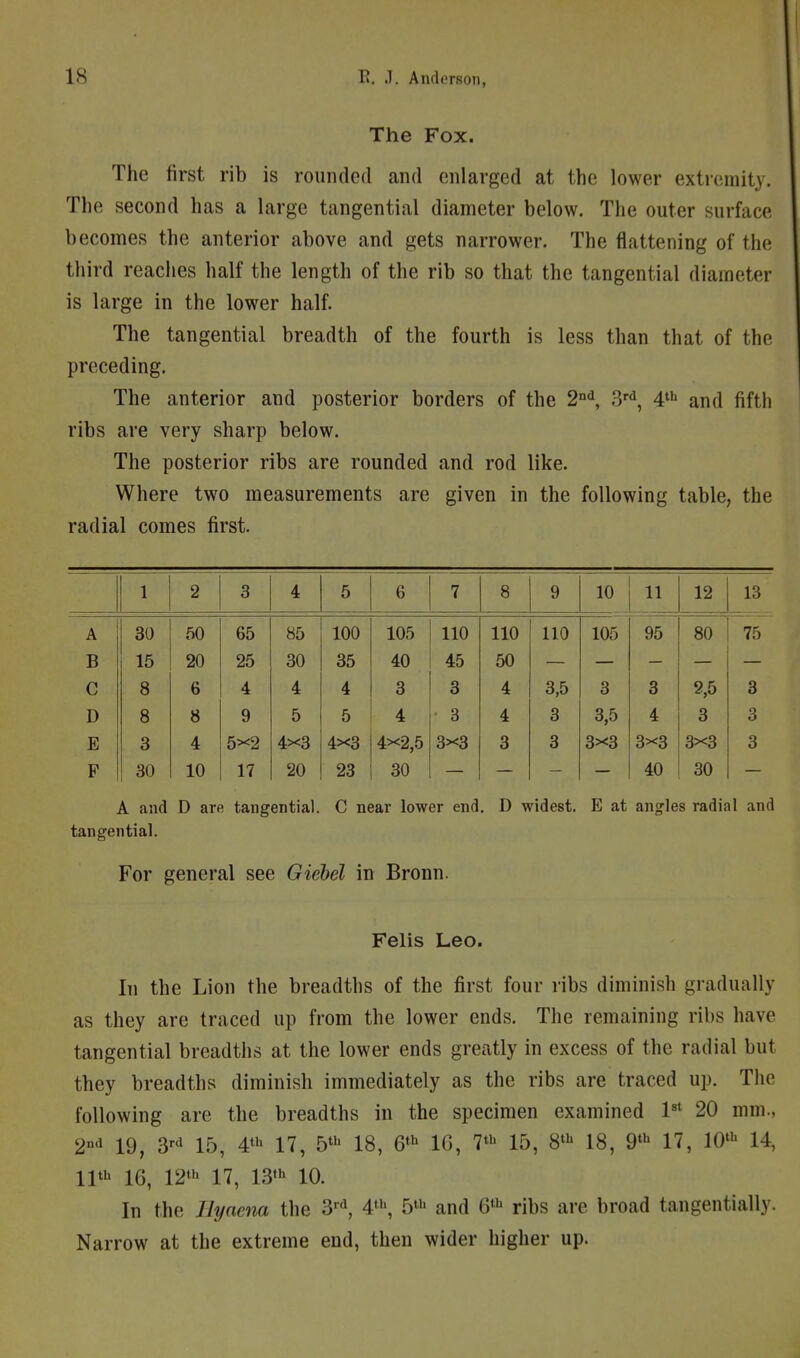 The Fox. The first rib is rounded and enlarged at the lower extremity. The second has a large tangential diameter below. The outer surface becomes the anterior above and gets narrower. The flattening of the third reaches half the length of the rib so that the tangential diameter is large in the lower half. The tangential breadth of the fourth is less than that of the preceding. The anterior and posterior borders of the 2°'^, 3''^, 4^^^ and fifth ribs are very sharp below. The posterior ribs are rounded and rod like. Where two measurements are given in the following table, the radial comes first. 1 2 3 4 5 6 7 8 9 10 11 12 13 A 30 50 65 85 100 105 110 110 110 105 95 80 75 B 15 20 25 30 35 40 45 50 C 8 6 4 4 4 3 3 4 3,5 3 3 2,5 3 D 8 8 9 5 5 4 3 4 3 3,5 4 3 3 E 3 4 5x2 4x3 4x3 4x2,5 3x3 3 3 3x3 3x3 3x3 3 P 30 10 17 20 23 30 40 30 A and D are tangential. C near lower end. D widest. E at angles radial and tangential. For general see Giebel in Bronn. Felis Leo. In the Lion the breadths of the first four ribs diminish gradually as they are traced up from the lower ends. The remaining ribs have tangential breadths at the lower ends greatly in excess of the radial but they breadths diminish immediately as the ribs are traced up. The following are the breadths in the specimen examined 1'* 20 mm., 2-1 19, 15, 4*1^ 17, 5*1' 18, 6*'^ IG, 7«' 15, 8' 18, 9t»> 17, 10^i> 14, 11' 16, 12' 17, 13*^ 10. In the Jlyacna the 4', 5 and ribs are broad tangentially. Narrow at the extreme end, then wider higher up.