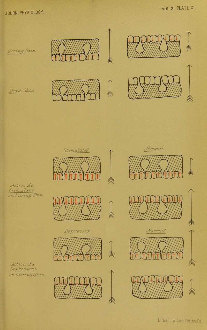 Stimulated Action ofa- Sbirnv,lci-n,t on Living Shirt. Action ofa- Depressant on Living Shin. J\formal Depressed fa ffr§ yf J\forma2- wm '/imil/in LlihSc Imp Carab oCihisl.Co.