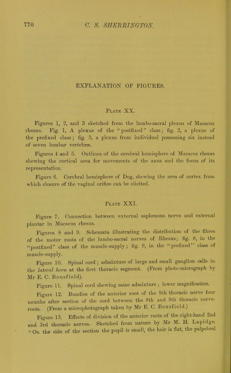 EXPLANATION OF FIGURES. Plate XX. Figures 1, 2, and 3 sketched from the lumbo-sacral plexus of Macacus rhesus. Fig. 1, A plexus of the  post6xed class; fig. 2, a plexus of the prefixed class; fig. 3, a plexus from individual possessing six instead of seven lumbar vertebrae. Figures 4 and 5. Outlines of the cerebral hemisphere of Macacus rhesus shewing the cortical area for movements of the anus and the focus of its representation. Figure 6. Cerebral hemisphere of Dog, shewing the area of cortex from which closure of the vaginal orifice can be elicited. Plate XXI. Figure 7. Connection between external saphenous nerve and external plantar in Macacus rhesus. Figures 8 and 9. Schemata illustrating the distribution of the fibres of the motor roots of the lumbo-sacral nerves of Rhesus; fig. 8, in the postfixed class of the muscle-supply; fig. 9, in the prefixed class of muscle-supply. Figure 10. Spinal cord; admixture of large and small ganglion cells in the lateral horn at the first thoracic segment. (From photo-micrograph by Mr E. C. Bousfield). Figure 11. Spinal cord shewing same admixture ; lower magnification. Figure 12. Bundles of the anterior root of the 9th thoracic nerve four months after section of the cord between the 8th and 9th thoracic nerve- roots. (From a microphotograph taken by Mr E. C. Bousfield.) Fio'ure 13. Efi'ects of division of the anterior roots of the right-hand 2nd and 3rd thoracic nerves. Sketched from nature by Mr M. H. Lapidge.  On the side of the section the pupil is small, the hair is flat, the palpebral