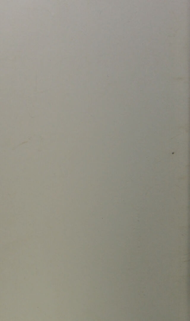 digitised image 2