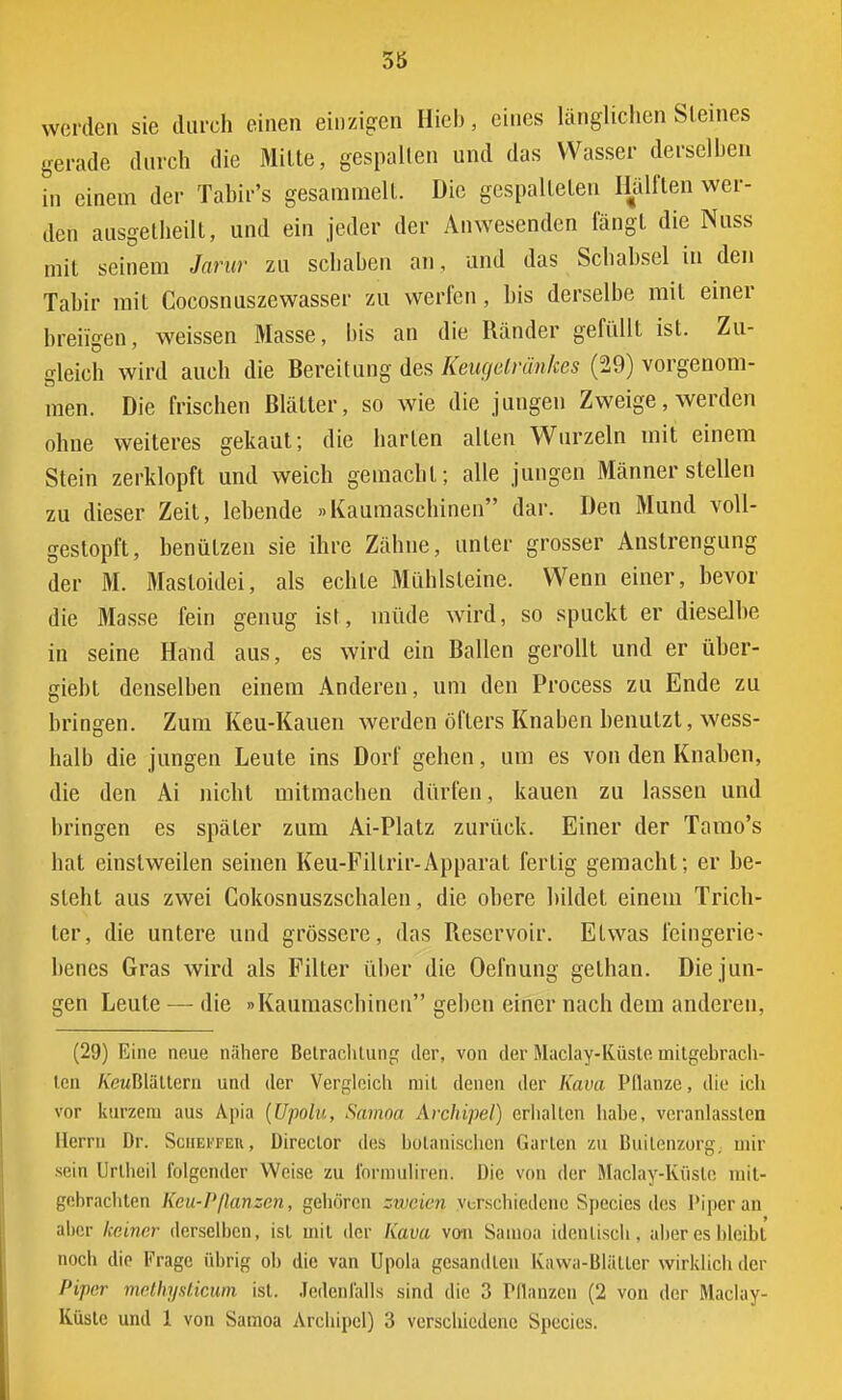 werden sie durch einen einzigen Hieb, eines länglichen Steines gerade durch die Milte, gespalten und das Wasser derselben in einem der Tabir's gesammelt. Die gespalteten Hälften wer- den ausgelheilt, und ein jeder der Anwesenden fängt die Nuss mit seinem Jarur zu schaben an, und das Schabsei in den Tabir mit Cocosnuszewasser zu werfen, bis derselbe mit einer breiigen, weissen Masse, bis an die Ränder gefüllt ist. Zu- gleich wird auch die Bereitung des Keugetränkes (29) vorgenom- men. Die frischen Blätter, so wie die jungen Zweige, werden ohne weiteres gekaut; die harten allen Wurzeln mit einem Stein zerklopft und weich gemacht; alle jungen Männer stellen zu dieser Zeil, lebende »Kaumaschinen dar. Den Mund voll- gestopft, benützen sie ihre Zähne, unter grosser Anstrengung der M. Mastoidei, als echle Mühlsteine. Wenn einer, bevor die Masse fein genug ist, müde wird, so spuckt er dieselbe in seine Hand aus, es wird ein Ballen gerollt und er über- giebl denselben einem Anderen, um den Process zu Ende zu bringen. Zum Keu-Kauen werden öfters Knaben benutzt, wess- halb die jungen Leute ins Dorf gehen, um es von den Knaben, die den Ai nicht mitmachen dürfen, kauen zu lassen und bringen es später zum Ai-Platz zurück. Einer der Tamo's hat einstweilen seinen Keu-Fillrir-Apparat fertig gemacht; er be- steht aus zwei Cokosnuszschalen, die obere bildet einem Trich- ter, die untere und grössere, das Reservoir. Etwas feingerie* benes Gras wird als Filter über die Oefnung gelhan. Die jun- gen Leute — die »Kaumaschinen geben einer nach dem anderen, (29) Eine neue nähere Betrachtung der, von der Maclay-Küsle mitgebrach- ten /vewBlättern und der Vergleich mit denen der Kava Pflanze, die ich vor kurzem aus Apia (Upolu, Samoa Archipel) erhalten hahe, veranlassten Herrn Dr. Scheiter, Direclor des botanischen Garten zu I5uileii7.org. nur sein Unheil folgender Weise zu formulireh. Die von der Maclay-Küsle mit- gebrachten Kcu-P/Ianzen, gehören zweien verschiedene Species des Piper an aber keiner derselben, ist mit der Kava von Samoa identisch, aber es bleibt noch die Frage übrig oh die van Upola gesandten Kawa-Blätler wirklich der Piper methysticum ist. Jedenfalls sind die 3 Pflanzen (2 von der Maclay- Küsle und 1 von Samoa Archipel) 3 verschiedene Species.