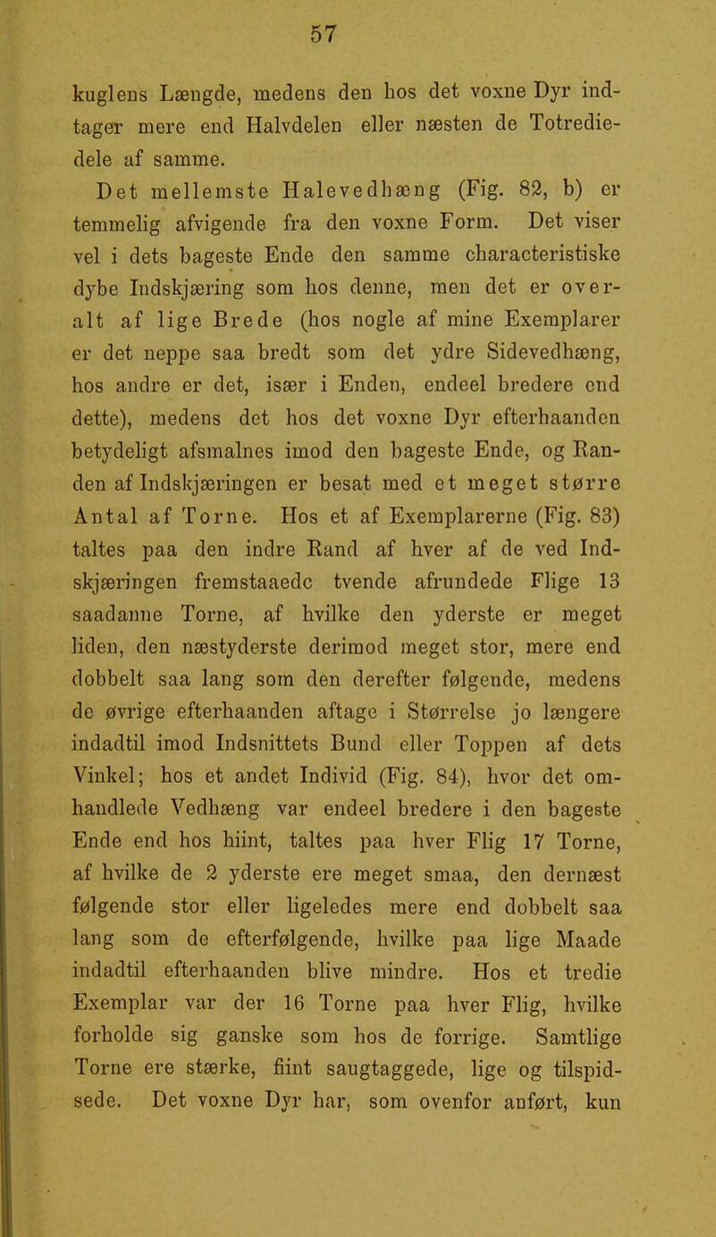 kuglens Længde, medens den hos det voxne Dyr ind- tager mere end Halvdelen eller næsten de Totredie- dele af samme. Det mellemste Halevedhæng (Fig. 82, b) er temmelig afvigende fra den voxne Form. Det viser vel i dets bageste Ende den samme characteristiske dybe Indskjæring som hos denne, men det er over- alt af lige Brede (hos nogle af mine Exemplarer er det neppe saa bredt som det ydre Sidevedhæng, hos andre er det, især i Enden, endeel bredere end dette), medens det hos det voxne Dyr efterhaanden betydehgt afsmalnes imod den bageste Ende, og Ban- den af Indskjæringen er besat med et meget større Antal af Torne. Hos et af Exemplarerne (Fig. 83) taltes paa den indre Rand af hver af de ved Ind- skjæringen fremstaaedc tvende afrundede Flige 13 saadanne Torne, af hvilke den yderste er meget liden, den næstyderste derimod meget stor, mere end dobbelt saa lang som den derefter følgende, medens de øvrige efterhaanden aftage i Størrelse jo længere indadtil imod Indsnittets Bund eller Toppen af dets Vinkel; hos et andet Individ (Fig. 84), hvor det om- handlede Vedhæng var endeel bredere i den bageste Ende end hos hiint, taltes paa hver Flig 17 Torne, af hvilke de 2 yderste ere meget smaa, den dernæst følgende stor eller ligeledes mere end dobbelt saa lang som de efterfølgende, hvilke paa lige Maade indadtil efterhaanden blive mindre. Hos et tredie Exemplar var der 16 Torne paa hver Flig, hvilke forholde sig ganske som hos de forrige. Samtlige Torne ere stærke, fiint saiigtaggede, lige og tilspid- sede. Det voxne Dyr har, som ovenfor anført, kun