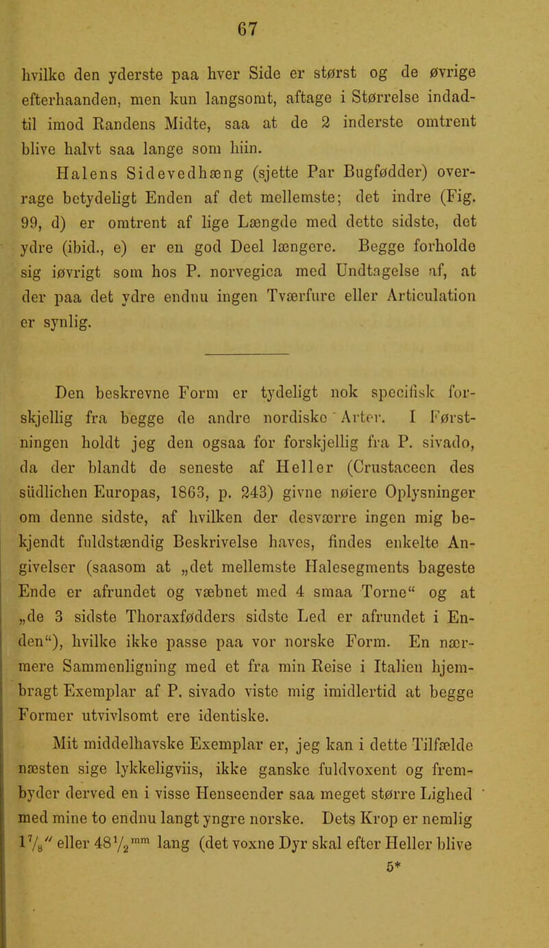 livilkc den yderste paa hver Side er størst og de øvrige efterhaanden, men kun langsomt, aftage i Størrelse indad- til imod Randens Midte, saa at de 2 inderste omtrent blive halvt saa lange som hiin. Halens Sidevedhæng (sjette Par Bugfødder) over- rage betydeligt Enden af det mellemste; det indre (Fig. 99, d) er omtrent af lige Længde med dette sidste, det ydre (ibid., e) er eu god Deel længere. Begge forholde sig iøvrigt som hos P. norvegica med Undtagelse af, at der paa det ydre endnu ingen Tværfure eller Articulation or synlig. Den beskrevne Form er tydeligt nok specifisk for- skjelHg fra begge de andre nordiske' Arter. I Først- ningen holdt jeg den ogsaa for forskjellig fra P. sivado, da der blandt de seneste af Heller (Crustacecn des siidlichen Europas, 1863, p. 243) givne nøiere Oplysninger om denne sidste, af hvilken der desværre ingen mig be- kjendt fuldstændig Beskrivelse haves, findes enkelte An- givelser (saasom at „det mellemste Halesegments bageste Ende er afrundet og væbnet med 4 smaa Torne og at „de 3 sidste Thoraxfødders sidste Led er afrundet i En- den), hvilke ikke passe paa vor norske Form. En nær- mere Sammenligning med et fra min Reise i Italien hjem- bragt Exemplar af P. sivado viste mig imidlertid at begge Former utvivlsomt ere identiske. Mit middelhavske Exemplar er, jeg kan i dette Tilfælde næsten sige lykkehgviis, ikke ganske fuldvoxent og fi-em- byder derved en i visse Henseender saa meget støn-e Lighed med mine to endnu langt yngre norske. Dets Krop er nemlig iVs eller 48 lang (det voxne Dyr skal efter Heller blive 5*