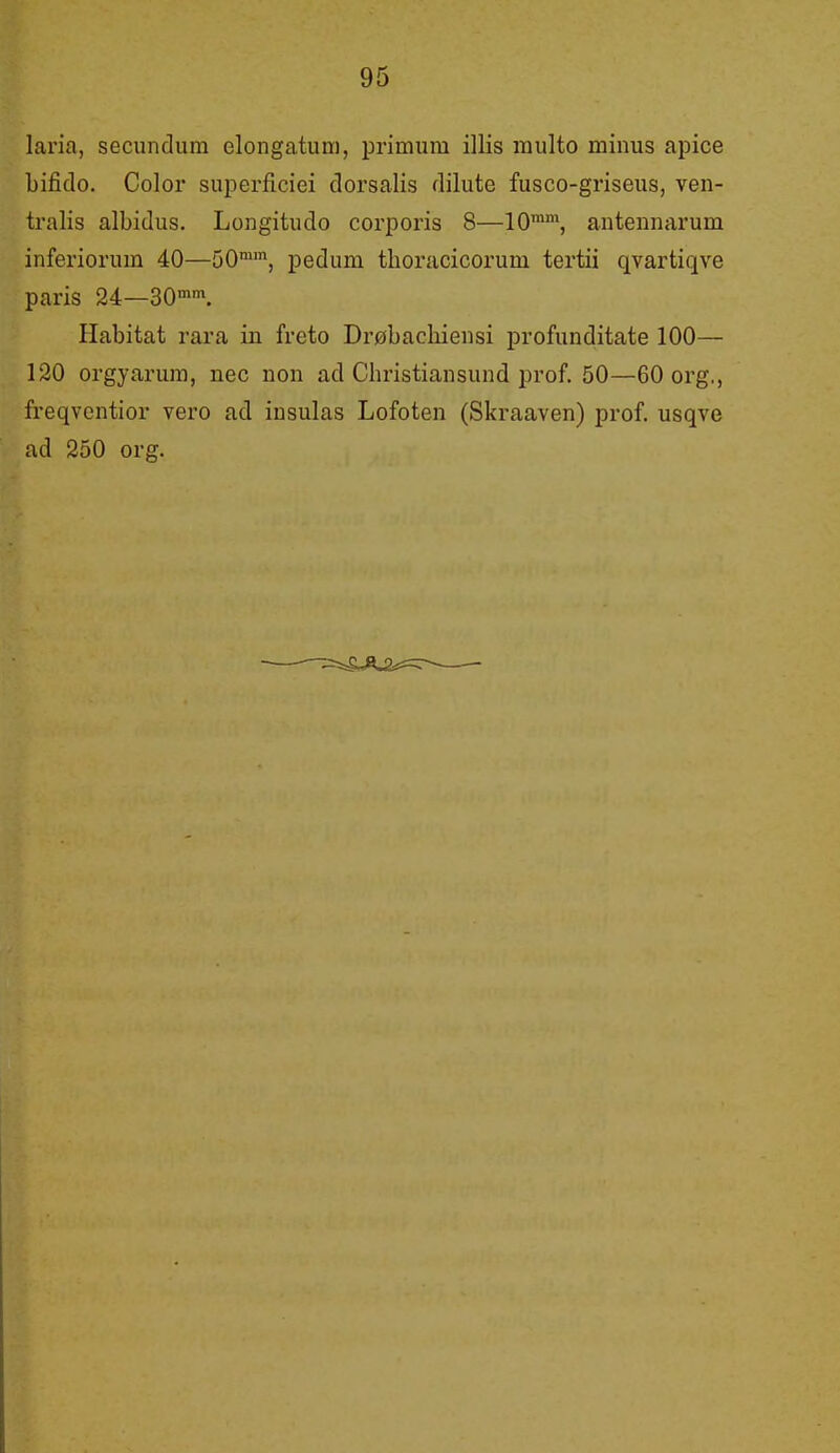 laria, secundum elongatum, primum illis multo minus apice bifido. Color superficiei dorsalis dilute fusco-griseus, ven- tralis albidus. Longitudo corporis 8—10™, antennarum inferiorum 40—50™', pedum tlioracicorum tertii qvartiqve paris 24—30™™. Habitat rara in freto Drøbachiensi profunditate 100— 130 orgyarum, nec non ad Christiansund prof. 50—60 org,, freqvcntior vero ad insulas Lofoten (Skraaven) prof. usqve ad 250 org.