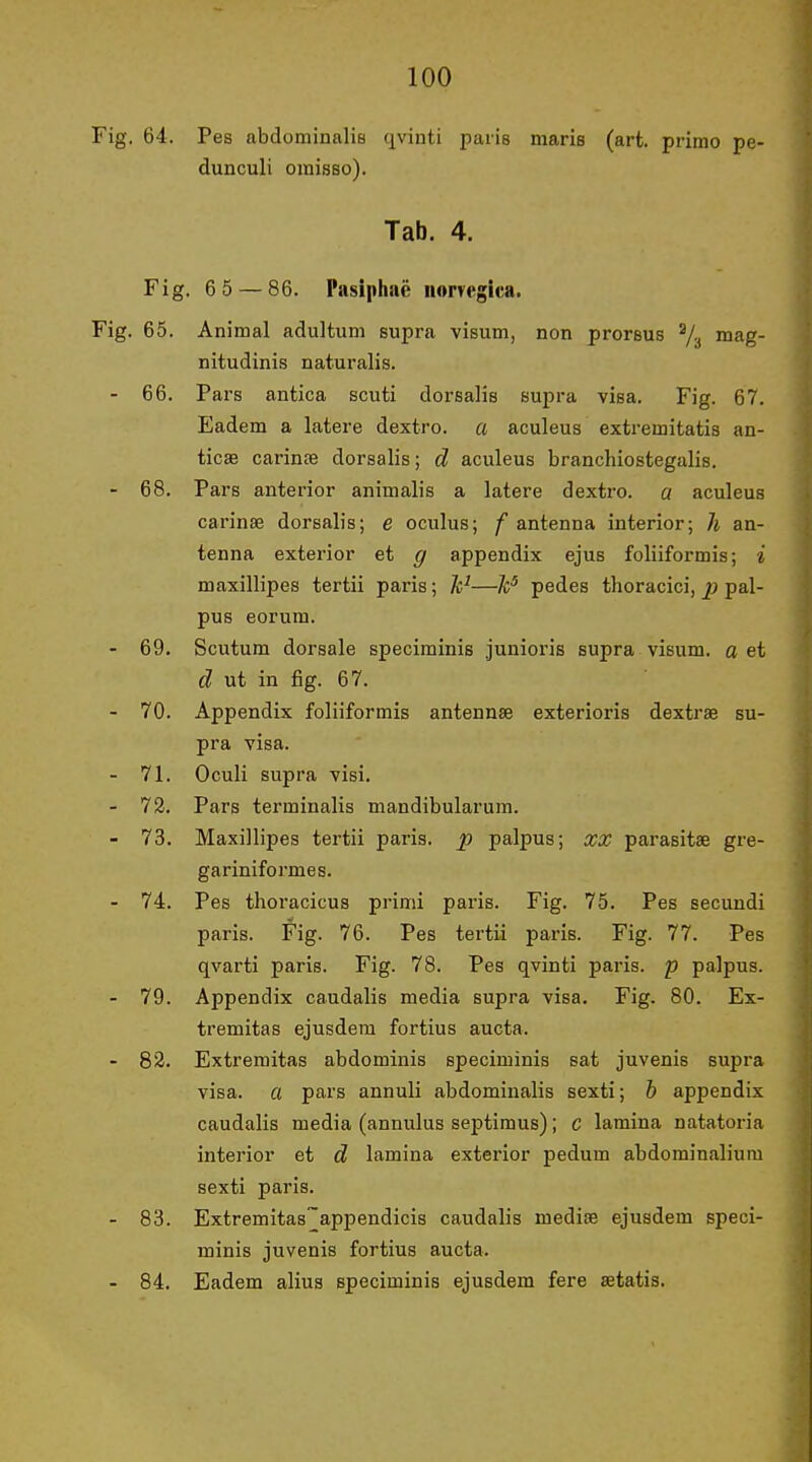 Fig. 64. Pes abdominalis qvinti paris maris (art. primo pe- dunculi omisso). Tab. 4. Fig. 6 5 — 86. Piisiphaé iiorvegica. Fig. 65. Animal adultum supra visum, non proreus ^3 raag- nitudinis naturalis. - 66. Pars antica scuti dorsalis supra visa. Fig. 67. Eadem a latere dextro. a aculeus extremitatis an- ticæ carinæ dorsalis; d aculeus branchiostegalis. - 68. Pars anterior animalis a latere dextro. a aculeus carinæ dorsalis; e oculus; / antenna interior; h an- tenna exterior et g appendix ejus foliiformis; i maxillipes tertii paris; —Jc^ pedes thoracici, ^ pal- pus eorum. - 69. Scutum dorsale speciminis junioris supra visum, aet d ut in fig. 67. - 70. Appendix foliiformis antennæ exterioris dextræ su- pra visa. - 71. Oculi supra visi. - 72. Pars terminalis mandibularum. - 73. Maxillipes tertii paris, p palpus; xx parasitæ gre- gariniformes. - 74. Pes thoracicus primi paris. Fig. 75. Pes secundi paris. Fig. 76. Pes tertii paris. Fig. 77. Pes qvarti paris. Fig. 78. Pes qvinti paris, p palpus. - 79. Appendix caudalis media supra visa. Fig. 80. Ex- tremitas ejusdera fortins aucta. - 82. Extremitas abdominis speciminis sat juvenis supra visa. a pars annuli abdominalis sexti; b appendix caudalis media (annulus septimus); c lamina natatoria interior et d lamina exterior pedum abdominalium sexti paris. - 83. Extremitas~appendicis caudalis mediæ ejusdem speci- minis juvenis fortius aucta. - 84. Eadem alius speciminis ejusdem fere ætatis.
