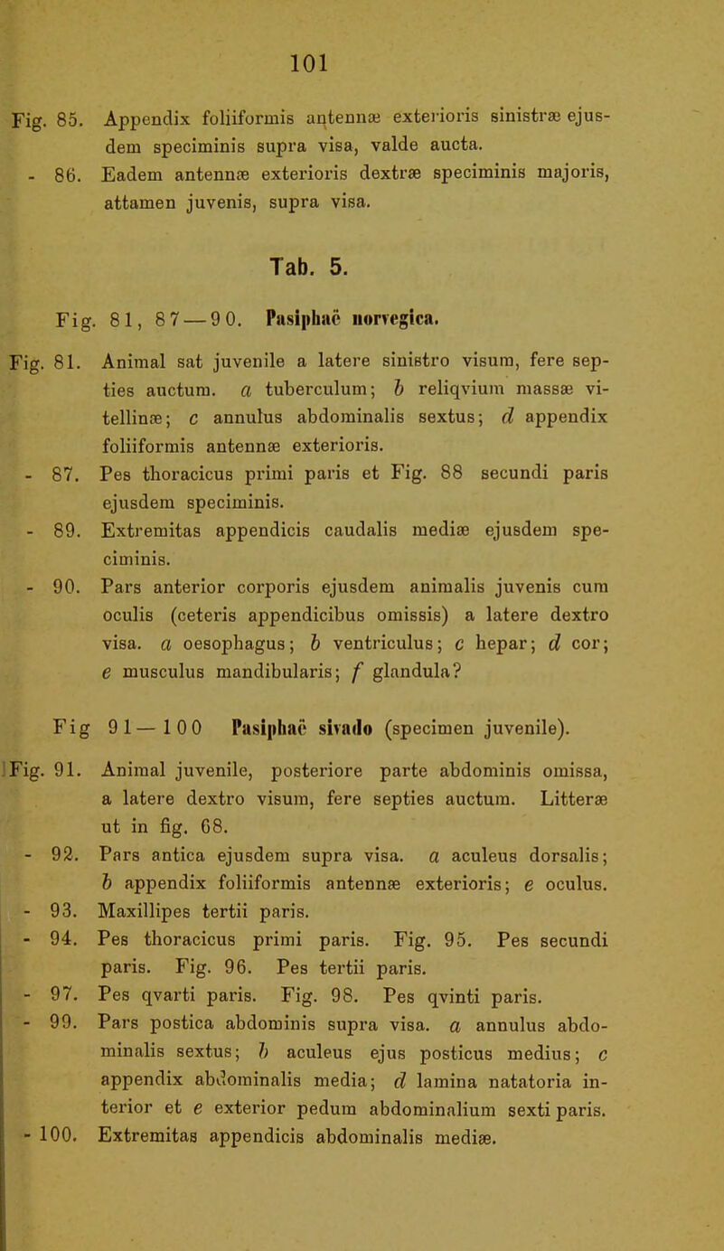 Fig. 85. Appendix foliiformis antennæ exterioris sinistræ ejus- dem speciminis supra visa, valde aucta. - 86. Eadem antennæ exterioris dextræ speciminis majoris, attamen juvenis, supra visa. Tab. 5. Fig. 81, 87 — 9 0. Pasiphiié iiorregica. Fig. 81. Animal sat juvenile a latere sinistre visum, fere sep- ties auctum. a tuberculum; b reliqvium massæ vi- tellinæ; c annulus abdominalis sextus; d appendix foliiformis antennæ exterioris. - 87. Pes thoracicus primi paris et Fig. 88 secundi paris ejusdem speciminis. - 89. Extremitas appendicis caudalis mediæ ejusdem spe- ciminis. - 90. Pars anterior corporis ejusdem animalis juvenis cura oculis (cetei'is appendicibus omissis) a latere dextro visa. a oesophagus; h ventriculus; c hepar; d cor; e musculus mandibularis; f glandula? Fig 91—100 Pusiphae sirado (specimen juvenile). Fig. 91. Åniraal juvenile, posteriore parte abdominis omissa, a latere dextro visum, fere septies auctum. Litteræ ut in fig. 68. - 92. Pars antica ejusdem supra visa. a aculeus dorsalis; h appendix foliiformis antennæ exterioris; e oculus, - 93. Maxillipes tertii paris. - 94. Pes thoracicus primi paris. Fig. 95. Pes secundi paris. Fig. 96. Pes tertii paris. - 97. Pes qvarti paris. Fig. 98. Pes qvinti paris. - 99. Pars postica abdominis supra visa. a annulus abdo- minalis sextus; ]> aculeus ejus posticus medius; c appendix abdominalis media; d lamina natatoria in- terior et e exterior pedum abdominalium sexti paris. 100. Extremitas appendicis abdominalis mediæ.