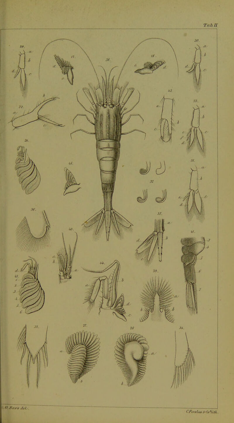 TaJ).n .O.Snr.1 drJy. CFfTsUwkCaVm..