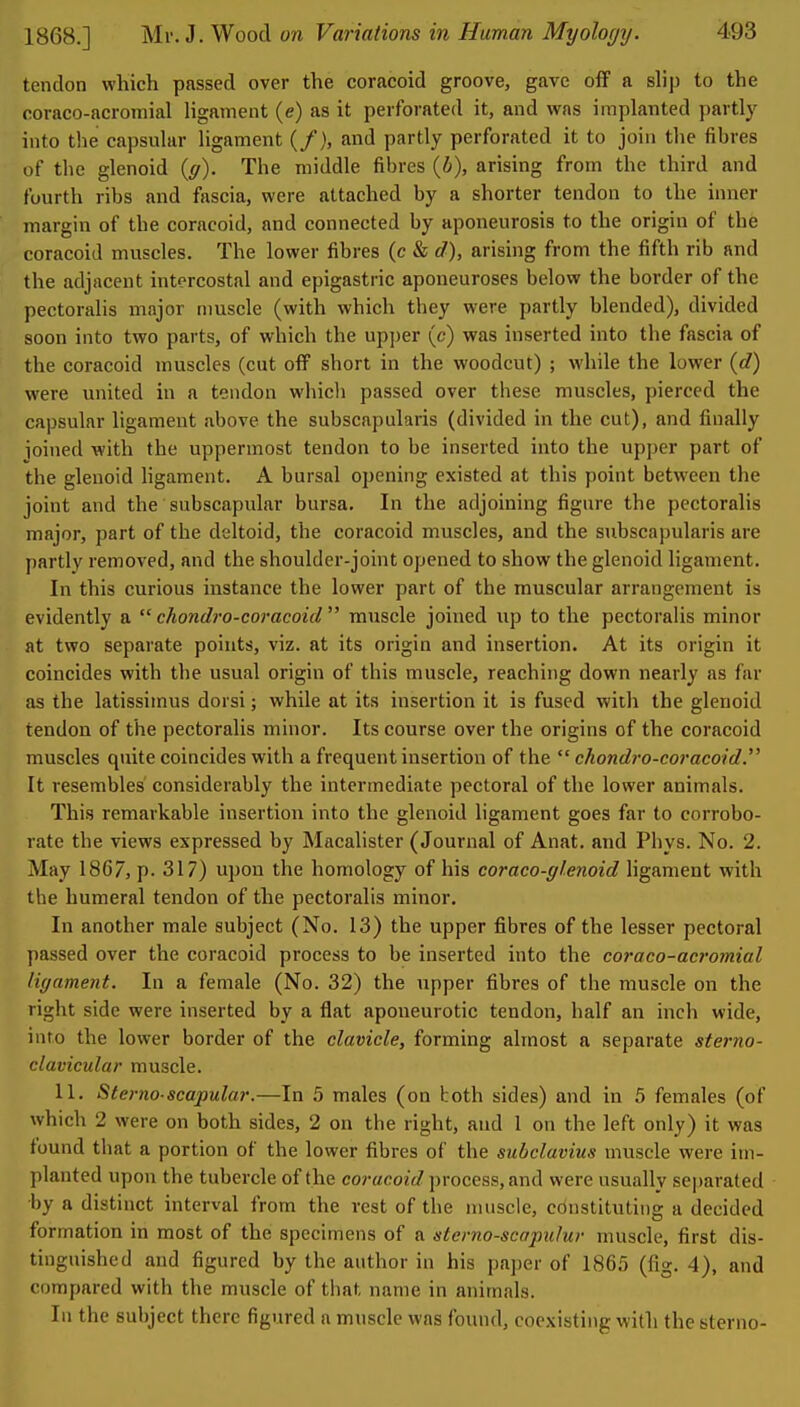 tendon which passed over the coracoid groove, gave off a slip to the coraco-acromial Hgament (e) as it perforated it, and was implanted partly into the capsular ligament (/), and partly perforated it to join the fibres of the glenoid {g). The middle fibres {b), arising from the third and fourth ribs and fascia, were attached by a shorter tendon to the inner margin of the coracoid, and connected by aponeurosis to the origin of the coracoid muscles. The lower fibres (c & d), arising from the fifth rib and the adjacent intercostal and epigastric aponeuroses below the border of the pectoralis major muscle (with which they were partly blended), divided soon into two parts, of which the upper (c) was inserted into the fascia of the coracoid muscles (cut off short in the woodcut) ; while the lower (<?) were united in a tendon whicli passed over these muscles, pierced the capsular ligament above the subscapularis (divided in the cut), and finally ioined with the uppermost tendon to be inserted into the upper part of the glenoid Hgament. A bursal opening existed at this point between the joint and the subscapular bursa. In the adjoining figure the pectoralis major, part of the deltoid, the coracoid muscles, and the subscapularis are partly removed, and the shoulder-joint opened to show the glenoid ligament. In this curious instance the lower part of the muscular arrangement is evidently a  chondj-o-coracoid  muscle joined up to the pectoralis minor at two separate points, viz. at its origin and insertion. At its origin it coincides with the usual origin of this muscle, reaching down nearly as far as the latissimus dorsi; while at its insertion it is fused with the glenoid tendon of the pectoralis minor. Its course over the origins of the coracoid muscles quite coincides with a frequent insertion of the  chondro-co)'acoid. It resembles considerably the intermediate pectoral of the lower animals. This remarkable insertion into the glenoid ligament goes far to corrobo- rate the views expressed by Macalister (Journal of Anat. and Phys. No. 2. May 1867, p. 317) upon the homology of his coraco-glenoid ligament with the humeral tendon of the pectoralis minor. In another male subject (No. 13) the upper fibres of the lesser pectoral passed over the coracoid process to be inserted into the coraco-acromial ligament. In a female (No. 32) the upper fibres of the muscle on the right side were inserted by a flat aponeurotic tendon, half an inch wide, into the lower border of the clavicle, forming almost a separate sterno- clavicular muscle. 11. Sterno-scapular.—In 5 males (on both sides) and in 5 females (of which 2 were on both sides, 2 on the right, and 1 on the left only) it was found that a portion of the lower fibres of the subclavius muscle were im- planted upon the tubercle of the coracoid process, and were usually separated by a distinct interval from the rest of the muscle, constituting a decided formation in most of the specimens of a sterno-scaptilur muscle, first dis- tinguished and figured by the author in his paper of 1865 (fig, 4), and compared with the muscle of that name in animals. In the subject there figured a muscle was found, coexisting with the sterno-