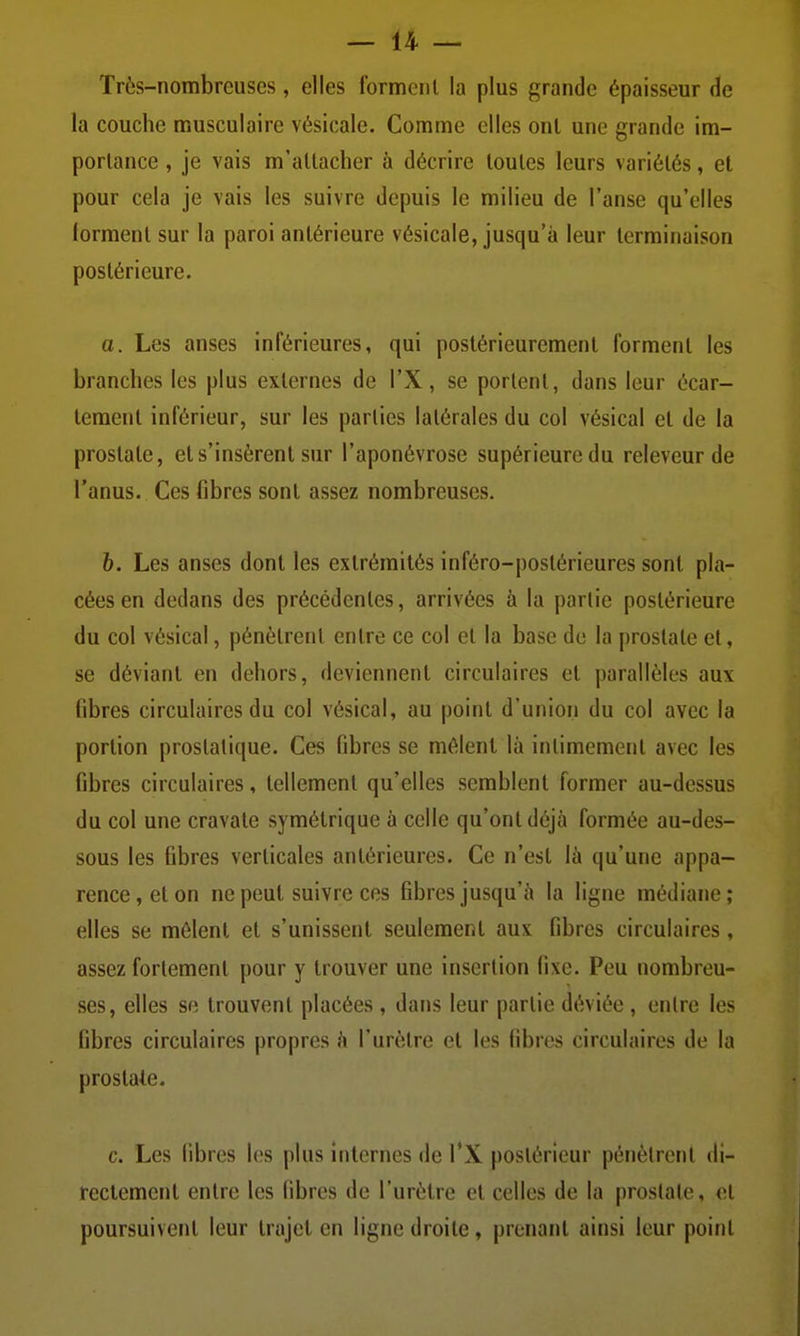 Très-nombreuses, elles forment la plus grande épaisseur (îe la couche musculaire vésicale. Comme elles ont une grande im- portance , je vais m'attacher à décrire toutes leurs variétés, et pour cela je vais les suivre depuis le milieu de l'anse qu'elles lormenl sur la paroi antérieure vésicale, jusqu'à leur terminaison postérieure. a. Les anses inférieures, qui postérieurement forment les branches les plus externes de l'X, se portent, dans leur écar- tement inférieur, sur les parties latérales du col vésical et de la prostate, et s'insèrent sur l'aponévrose supérieure du releveur de l'anus. Ces fibres sont assez nombreuses. 6. Les anses dont les extrémités inféro-postérieures sont pla- cées en dedans des précédentes, arrivées à la partie postérieure du col vésical, pénètrent entre ce col et la base de la prostate et, se déviant en dehors, deviennent circulaires et parallèles aux fibres circulaires du col vésical, au point d'union du col avec la portion prostatique. Ces fibres se mêlent là intimement avec les fibres circulaires, tellement qu'elles semblent former au-dessus du col une cravate symétrique à celle qu'ont déjà formée au-des- sous les fibres verticales antérieures. Ce n'est là qu'une appa- rence, et on ne peut suivre ces fibres jusqu'à la ligne médiane; elles se mêlent et s'unissent seulement aux fibres circulaires, assez fortement pour y trouver une insertion fixe. Peu nombreu- ses, elles se trouvent placées , dans leur partie déviée , entre les fibres circulaires propres à l'urètre et les fibres circulaires de la prostale. c. Les libres les plus internes de l'X postérieur pénètrent di- rectement entre les fibres de l'urètre et celles de la prostate, et poursuivent leur trajet en ligne droite , prenant ainsi leur point