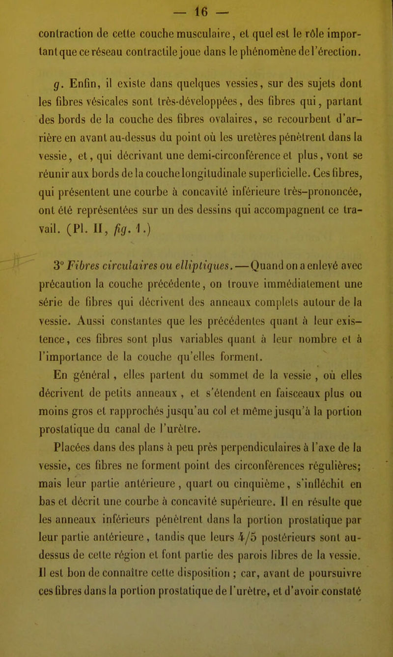 conlraclion de cette couche musculaire, et quel est le rôle impor- tant que ce réseau contractile joue dans le phénomène de l'érection. g. Enfin, il existe dans quelques vessies, sur des sujets dont les fibres vésicales sont Irès-développées, des fibres qui, parlant des bords de la couche des fibres ovalaires, se recourbent d'ar- rière en avant au-dessus du point où les uretères pénètrent dans la vessie, et, qui décrivant une demi-circonférence et plus, vont se réunir aux bords de la couche longitudinale superficielle. Ces fibres, qui présentent une courbe à concavité inférieure très-prononcée, ont été représentées sur un des dessins qui accompagnent ce tra- vail. (Pl. II, fîg. 1.) 3° Fibres circulaires ou elliptiques. —Quand on a enlevé avec précaution la couche précédente, on trouve immédiatement une série de fibres qui décrivent des anneaux complets autour de la vessie. Aussi constantes que les précédentes quant à leur exis- tence, ces fibres sont plus variables quant à leur nombre et à l'importance de la couche qu'elles forment. En général, elles partent du sommet de la vessie , où elles décrivent de petits anneaux , et s'étendent en faisceaux plus ou moins gros et rapprochés jusqu'au col et même jusqu'à la portion prostatique du canal de l'urètre. Placées dans des plans à peu près perpendiculaires à l'axe de la vessie, ces fibres ne forment point des circonférences régulières; mais leur partie antérieure, quart ou cinquième, s'infléchit en bas et décrit une courbe à concavité supérieure. Il en résulte que les anneaux inférieurs pénètrent dans la portion prostatique par leur partie antérieure, tandis que leurs 4/5 postérieurs sont au- dessus de cette région et font partie des parois libres de la vessie. Il est bon de connaître celte disposition ; car, avant de poursuivre ces fibres dans la portion prostatique de l'urètre, et d'avoir constaté