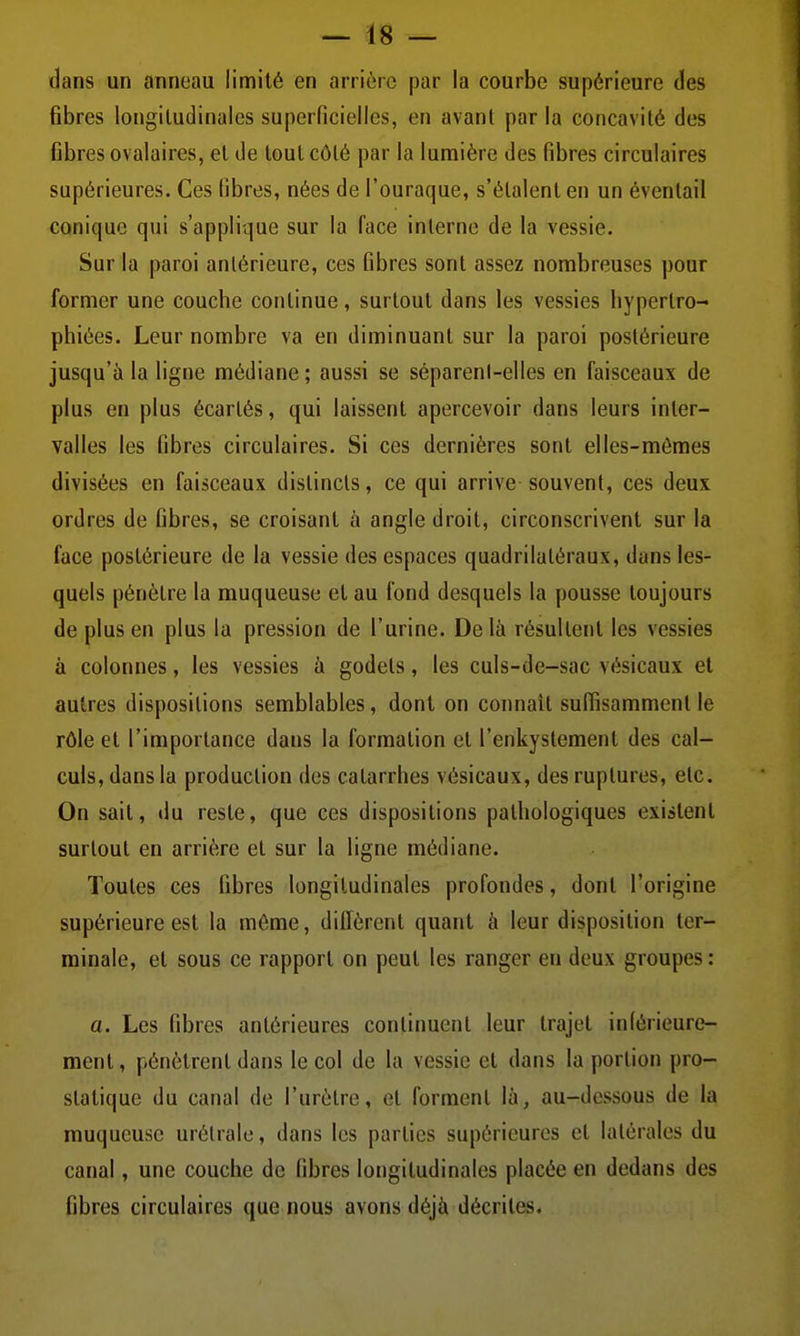 dans un anneau limité en arrière par la courbe supérieure des fibres longitudinales superficielles, en avant par la concavité des fibres ovalaires, et de tout côté par la lumière des fibres circulaires supérieures. Ces fibres, nées de l'ouraque, s'étalent en un éventail conique qui s'applique sur la face interne de la vessie. Sur la paroi antérieure, ces fibres sont assez nombreuses pour former une couche continue, surtout dans les vessies hypertro- phiées. Leur nombre va en diminuant sur la paroi postérieure jusqu'à la ligne médiane; aussi se séparenl-elles en faisceaux de plus en plus écartés, qui laissent apercevoir dans leurs inter- valles les fibres circulaires. Si ces dernières sont elles-mêmes divisées en faisceaux distincts, ce qui arrive souvent, ces deux ordres de fibres, se croisant à angle droit, circonscrivent sur la face postérieure de la vessie des espaces quadrilatéraux, dans les- quels pénètre la muqueuse et au fond desquels la pousse toujours de plus en plus la pression de l'urine. Delà résultent les vessies à colonnes, les vessies à godets, les culs-de-sac vésicaux et autres dispositions semblables, dont on connaît suffisamment le rôle et l'importance dans la formation et l'enkystement des cal- culs, dans la production des catarrhes vésicaux, des ruptures, etc. On sait, du reste, que ces dispositions pathologiques existent surtout en arrière et sur la ligne médiane. Toutes ces fibres longitudinales profondes, dont l'origine supérieure est la même, diffèrent quant à leur disposition ter- minale, et sous ce rapport on peut les ranger eu deux groupes : a. Les fibres antérieures continuent leur trajet inférieure- ment, pénètrent dans le col de la vessie et dans la portion pro- statique du canal de l'urètre, et forment là, au-dessous de la muqueuse urétrale, dans les parties supérieures et latérales du canal, une couche de fibres longitudinales placée en dedans des fibres circulaires que nous avons déjà décrites.