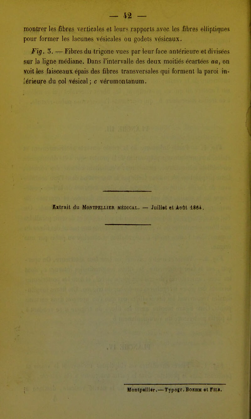 montrer les fibres verticales et leurs rapports avec les fibres elliptiques pour former les lacunes vésicales ou godets vésicaux. Fig. 3. — Fibres du trigone vues par leur face antérieure et divisées sur la ligne médiane. Dans l'intervalle des deux moitiés écartées aa, on voit les faisceaux épais des fibres transversales qui forment la paroi in- férieure du col vésical; c vérumontanum. Extrait du Montpellier médical. — Juillat et Août 1864. Montpsllitr.—Typogr, Bobbh tt Fil«.