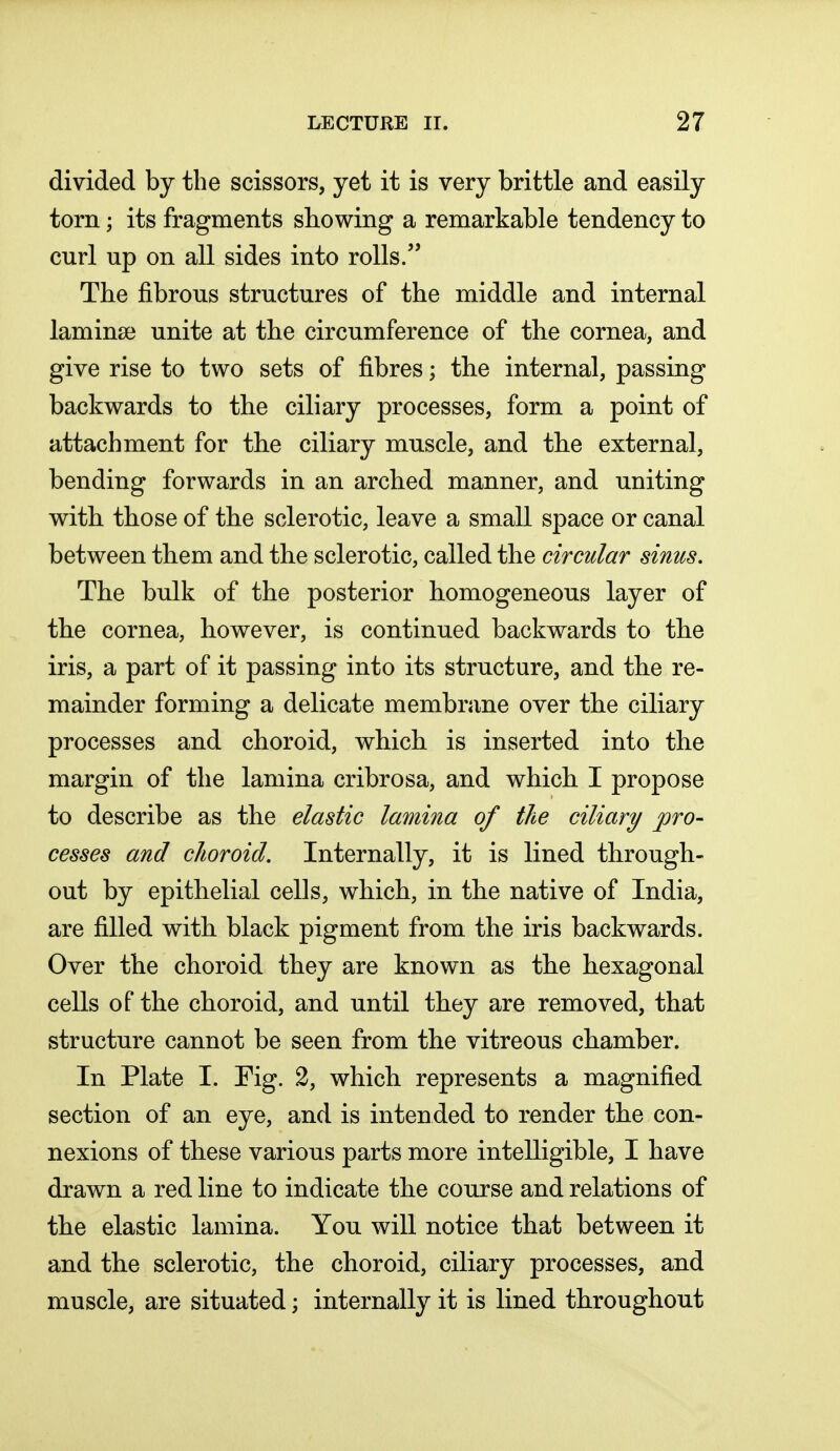 divided by the scissors, yet it is very brittle and easily torn; its fragments showing a remarkable tendency to curl up on all sides into rolls. The fibrous structures of the middle and internal laminae unite at the circumference of the cornea, and give rise to two sets of fibres; the internal, passing backwards to the ciliary processes, form a point of attachment for the ciliary muscle, and the external, bending forwards in an arched manner, and uniting with those of the sclerotic, leave a small space or canal between them and the sclerotic, called the circular sinus. The bulk of the posterior homogeneous layer of the cornea, however, is continued backwards to the iris, a part of it passing into its structure, and the re- mainder forming a delicate membrane over the ciliary processes and choroid, which is inserted into the margin of the lamina cribrosa, and which I propose to describe as the elastic lamina of the ciliary pro- cesses and choroid. Internally, it is lined through- out by epithelial cells, which, in the native of India, are filled with black pigment from the iris backwards. Over the choroid they are known as the hexagonal cells of the choroid, and until they are removed, that structure cannot be seen from the vitreous chamber. In Plate I. Fig. 2, which represents a magnified section of an eye, and is intended to render the con- nexions of these various parts more intelligible, I have drawn a red line to indicate the course and relations of the elastic lamina. You will notice that between it and the sclerotic, the choroid, ciliary processes, and muscle, are situated; internally it is lined throughout