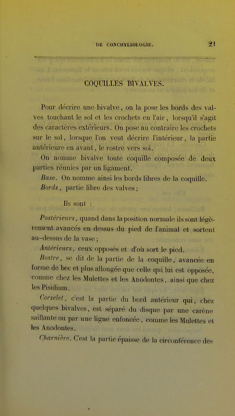 COQUILLES BIVALVES. Pour décrire une bivalve, on la pose les bords des val- ves touchant le sol et les crochets en l'air, lorsqu'il s'agit des caractères extérieurs. On pose au contraire les crochets sur le sol, lorsque l'on veut décrire l'intérieur, la partie antérieure en avant, le rostre vers soi. On nomme bivalve toute coquille composée de deux parties réunies par un ligament. Base. On nomme ainsi les bords Hbres de la coquille. Bords, partie libre des valves ; Ils sont : Postérieurs, quand dans la position normale ils sont légè- rement avancés en dessus du pied de l'animal et sortent au-dessus de la vase ; Antérieurs, ceux opposés et d'où sort le pied. Boslre, se dit de la partie de la coquille, avancée en forme de bec et plus allongée que celle qui lui est opposée, comme chez les Mulettes et les Anodontes, ainsi que chez les Pisidium. Corselet, c'est la partie du bord antérieur qui, chez quelques bivalves, est séparé du disque par une carène saillante ou par une ligne enfoncée, comme les Mulettes et les Anodontes. Charnière. C'est la partie épaisse de la circonférence des »