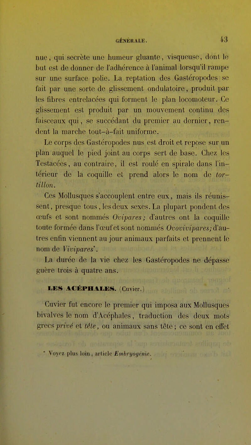 nue, qui secrète une humeur gluante, visqueuse, dont le but est de donner de l'adhérence à l'animal lorsqu'il rampe sur une surface poUe. La reptation des Gastéropodes se fait par une sorte de glissement ondulatoire, produit par les fibres entrelacées qui forment le plan locomoteur. Ce glissement est produit par un mouvement continu des faisceaux qui, se succédant du premier au dernier, ren- dent la marche tout-à-fait uniforme. Le corps des Gastéropodes nus est droit et repose sur un plan auquel le pied joint au corps sert de base. Chez les Testacées, au contraire, il est roulé en spirale dans l'in- térieur de la coquille et prend alors le nom de tor- tillon. Ces Mollusques s'accouplent entre eux, mais ils réunis- sent, presque tous, les deux sexes. La plupart pondent des œufs et sont nommés Ovipares; d'autres ont la coquille toute formée dans l'œuf et sont nommés Ovovivipares; d'au- tres enfin viennent au jour animaux parfaits et prennent le nom de Vivipares*. La durée de la vie chez les Gastéropodes ne dépasse guère trois à quatre ans. E.ES ACÉPHALKS. (Cuvier.) Cuvier fut encore le premier qui imposa aux Mollusques bivalves le nom d'Acéphales, traduction des deux mots grecs privé et tête, ou animaux sans tête ; ce sont en effet * Voyez plus loin, article £m/;n/o(/enic.