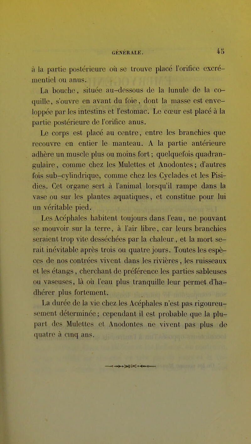 à la partie poslcricurc où se trouve placé l'orifice excré- luenticl ou anus. La bouche, située au-dessous de la lunule de la co- quille, s'ouvre en avant du foie, dont la masse est enve- loppée par les intestins et festomac. Le cœur est placé à la partie postérieure de forifice anus. Le corps est placé au centre, entre les branchies que recouvre en entier le manteau. A la partie antérieure adhère un muscle plus ou moins fort ; quelquefois quadran- gulaire, comme chez les Mulettes et Anodontes ; d'autres fois sab-cylindrique, comme chez les Cyclades et les Pisi- dies. Cet organe sert à fanimal lorsqu'il rampe dans la vase ou sur les plantes aquatiques, et constitue pour lui un véritable pied. Les Acéphales habitent toujours dans l'eau, ne pouvant se mouvoir sur la terre, à l'air libre, car leurs branchies seraient trop vite desséchées par la chaleur, et la mort se- rait inévitable après trois ou quatre jours. Toutes les espè- ces de nos contrées vivent dans les rivières, les ruisseaux et les étangs, cherchant de préférence les parties sableuses ou vaseuses, là où l'eau plus tranquille leur permet d'ha- dhérer plus fortement. La durée de la vie chez les Acéphales n'est pas rigoureu- sement déterminée ; cependant il est probable que la plu- part des Mulettes et Anodontes ne vivent pas plus de quatre à cmq ans.