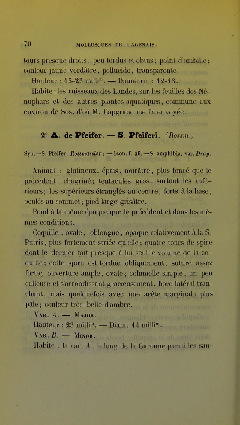 tours presque droits, peu tordus et obtus ; point d'ombilic ; couleur jaune-verdiUre, pellucide, transparente. Hauteur : 15-25 milli'. — Diamètre : 12-13. Habite : les ruisseaux des Landes, sur les feuilles des Né- nuphars et des autres plantes aquatiques, commune aux environ de Sos, d'oii M. Capgrand me l'a er voyée. 2» A. de Pfeîfer. — S. Pfeiferi. (Rossm.J Syn.—S. Pfeifer, Rossmassler ; —Icon. f. 46.—S. amphibia, var. Drop. Animal : glutineux, épais, noirâtre, plus foncé que le précédent, chagriné; tentacules gros, surtout les infé- rieurs ; les supérieurs étranglés au centre, forts à la base, oculés au sommet; pied large grisâtre. Pond à la même époque que le précédent et dans les mê- mes conditions. Coquille : ovale, oblongue, opaque relativement à la S. Putris, plus fortement striée qu'elle ; quatre tours de spire dont le dernier fait presque à lui seul le volume de la co- quille; cette spire est tordue obhquement; suture assez forte ; ouverture ample, ovale ; columelle simple, un peu calleuse et s'arrondissant gracieusement, bord latéral tran- chant, mais quelquefois avec une arête marginale plus- pâle; couleur très-belle d'ambre. Var. a. — Major. Hauteur : 23 milli™. — Diam. 14 milli'. YaR. B. MiNOR. Habite : la >ar. A, le long de la Garonne parmi les sau-