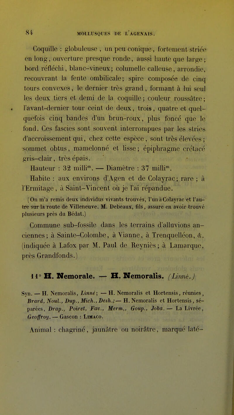 Coquille : globuleuse , un peu conique, fortement striée en long, ouverture presque ronde, aussi haute que large ; bord réfléchi, blanc-vineux; columelle calleuse, arrondie, recouvrant la fente ombihcale; spire composée de cinq tours convexes, le dernier très grand, formant à lui seul les deux tiers et demi de la coquille ; couleur roussâtre ; l'avant-demier tour ceint de deux, trois, quatre et quel- quefois cinq bandes d'un brun-roux, plus foncé que le fond. Ces fascies sont souvent interrompues par les stries d'accroissement qui, chez cette espèce, sont très élevées ; sommet obtus, mamelonné et Usse; épiphragme crétacé gris-clair, très épais. Hauteur : 32 milli. — Diamètre : 37 milli'. Habite : aux environs d'Agen et de Colayrac ; rare ; à l'Ermitage, à Saint-Vincent où je l'ai répandue. (On m'a remis deux individus vivants trouvés, l'un à Colayrac et l'au- tre SOT la route de Villeneuve. M. Debeaux, fils, assure en avoir trouvé plusieurs près du Bédat.) Commune sub-fossile dans les teri-ains d'alluvions an- ciennes; à Sainte-Colombe, à Vianne, à Trenquelléon, à. (indiquée à Lafox par M. Paul de Reyniès; à Lamarque, près Grandfonds.) 11° H. Nemorale. — H. Nemoralis. (Linné.) Syn. — H. Nemoralis, Linné; — H. Nemoralis et Hortensis, réunies, Brard, Noul., Dup., Mich., Desh.;— H. Nemoralis et Hortensis, sé- parées, Drap., Poiret, Fav., Merm,, Goup., joia.— La Livrée, Geoffroy. — Gascon : Limaco. Animal : chagriné, jaunâtre ou noirAlrc, marqué laté-