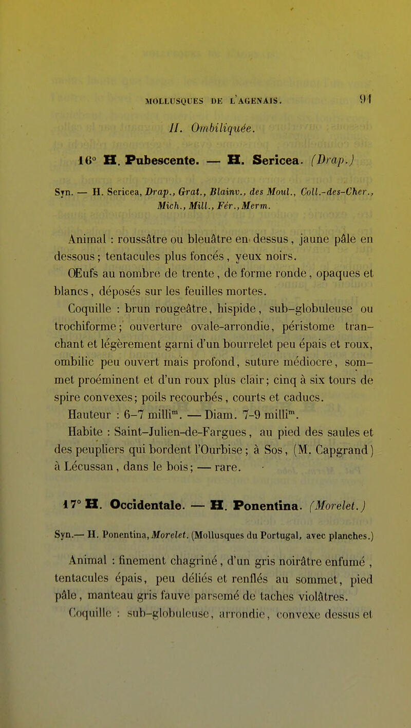 II. Ombiliquée. 16° H. Pubescente. — H. Sericea. (Drap.) Syn. — H. Sericea, Drap., Grat., Blainv., des Moul., Coll.-des-Cher., Mich., MilL, Fér.,Merm. Animal : roussâtre ou bleuâtre en. dessus, jaune pâle en dessous ; tentacules plus foncés, yeux noirs. OEufs au nombre de trente, de forme ronde, opaques et blancs, déposés sur les feuilles mortes. Coquille : brun rougeâtre, hispide, sub-globuleiise ou trochiforme ; ouverture ovale-arrondie, péristome tran- chant et légèrement garni d'un bourrelet peu épais et roux, ombilic peu ouvert mais profond, suture médiocre, som- met proéminent et d'un roux plus clair ; cinq à six tours de spire convexes; poils recourbés, courts et caducs. Hauteur : 6-7 milli™. —Diam. 7-9 milli*. Habite : Saint-Julien-de-Fargues, au pied des saules et des peupliers qui bordent l'Ourbise ; à Sos, (M. Capgrand) à Lécussan , dans le bois; — rare. 17° H. Occidentale. — H. Ponentina. (Morelel.) Syn.— H. Ponentina, Jtforciet. (Mollusques du Portugal, avec planches.) Animal : finement chagriné, d'un gris noirâtre enfumé , tentacules épais, peu déliés et renflés au sommet, pied pâle, manteau gris fauve parsemé de taches violâtres. Coquille : sub-globuleusc, arrondie, convexe dessus et