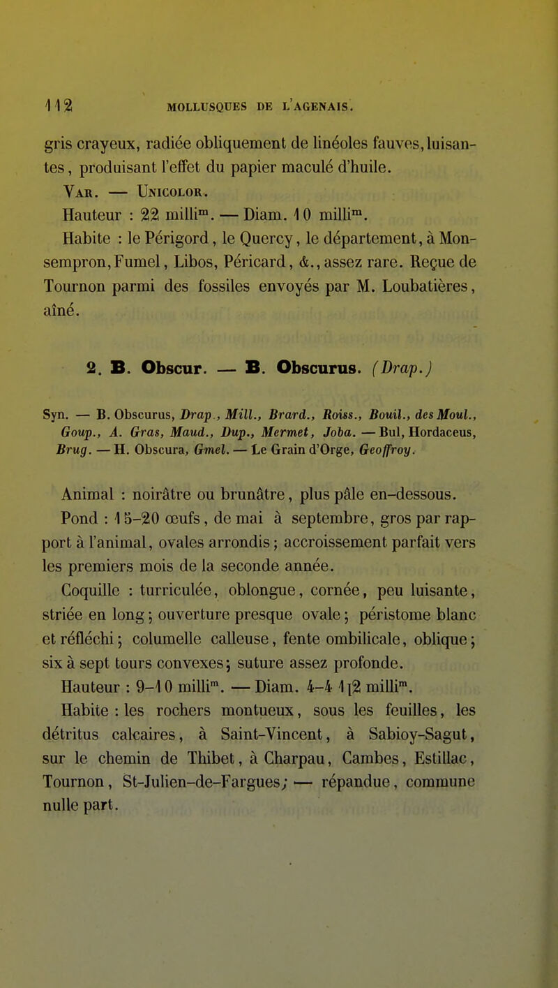 gris crayeux, radiée obliquement de linéoles fauves, luisan- tes , produisant l'effet du papier maculé d'huile. Var. — Unicolor. Hauteur : 22 milli™. — Diam. 10 milli. Habite : le Périgord, le Quercy, le département, à Mon- sempron,Fumel, Libos, Péricard, &., assez rare. Reçue de Tournon parmi des fossiles envoyés par M. Loubatières, aîné. 2. B. Obscur. — B. Obscurus. (Drap.) Syn. — B. Obscurus, Drap , MilL, Brard., Roiss., Bouil., desMouL, Goup., A. Gras, Maud., Dup., Mermet, Joba. —Bul, Hordaceus, Brug. — H. Obscura, Gmel. — Le Grain d'Orge, Geoffroy. Animal : noirâtre ou brunâtre, plus pâle en-dessous. Pond : 15-20 œufs, de mai à septembre, gros par rap- port à l'animal, ovales arrondis ; accroissement parfait vers les premiers mois de la seconde année. Coquille : turriculée, oblongue, cornée, peu luisante, striée en long ; ouverture presque ovale ; péristome blanc et réfléchi ; columelle calleuse, fente ombilicale, oblique ; six à sept tours convexes; suture assez profonde. Hauteur : 9-10 milli*. —Diam. 4-4 1i2 milli. Habite : les rochers montueux, sous les feuilles, les détritus calcaires, à Saint-Vincent, à Sabioy-Sagut, sur le chemin de Thibet, à Charpau, Cambes, Estillac, Tournon, St-Julien-de-Fargues; — répandue, commune nulle part.